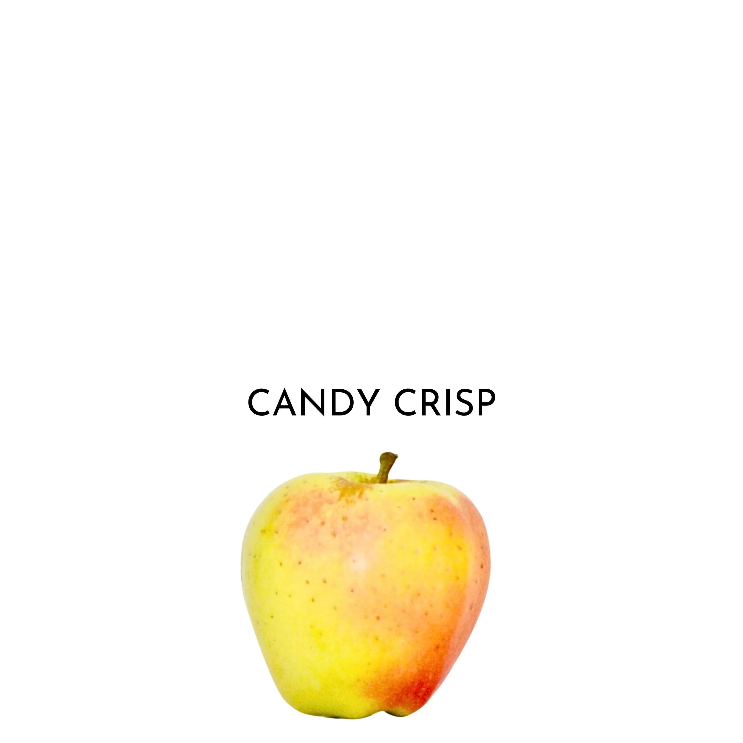 30.jpeg