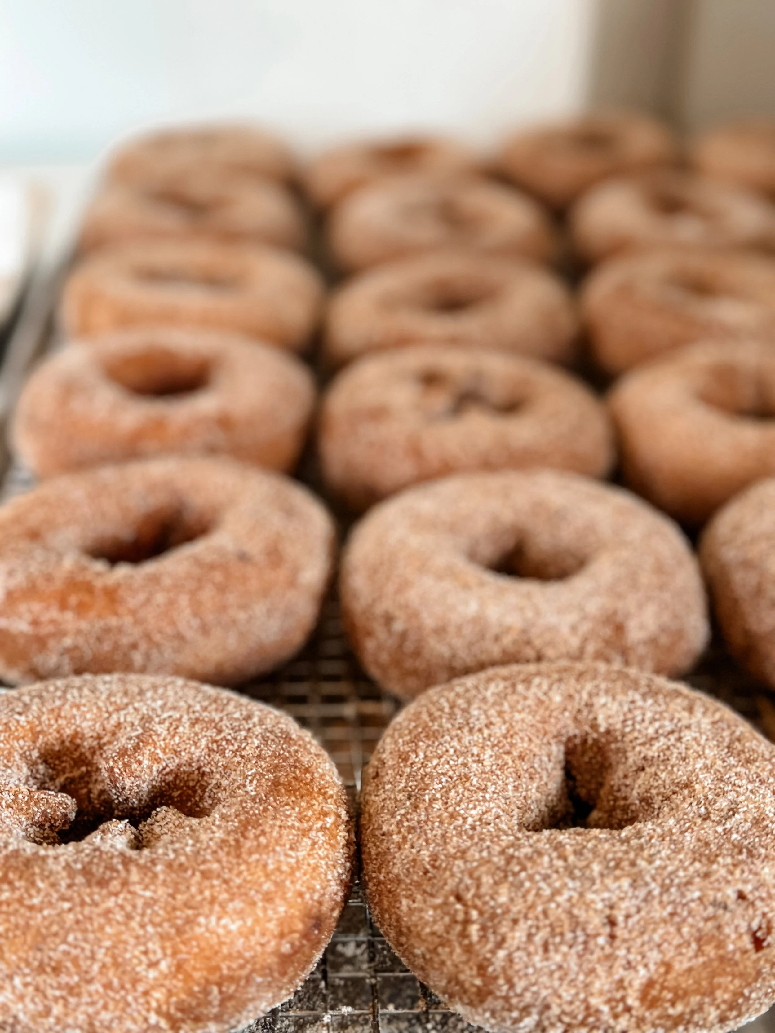 APPLE CIDER DONUTS