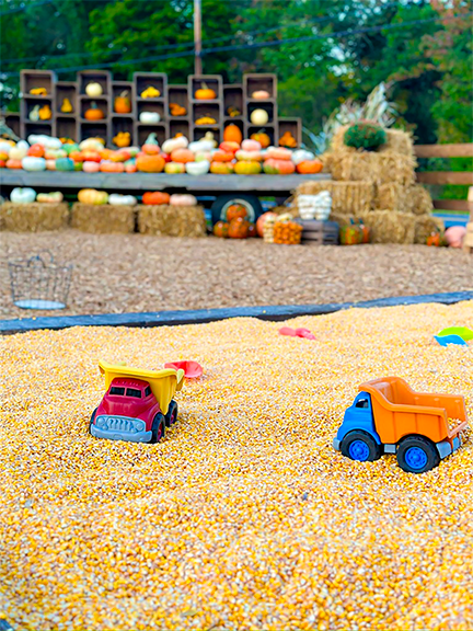 Corn-Trucks.png