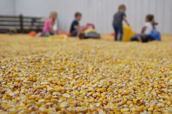 Children Playing in the Corn Pit