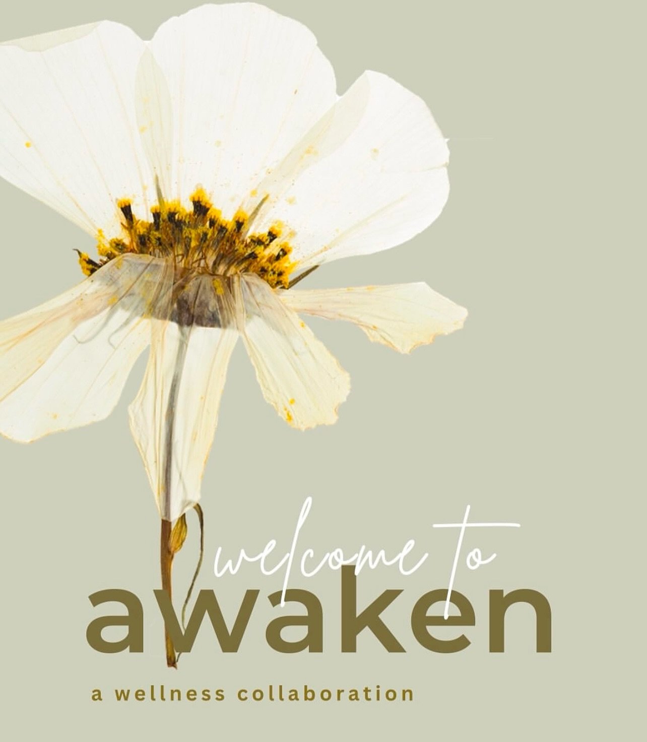Introducing Awaken Clare &ndash; Winter Wellness Edition

Let&rsquo;s move, reflect, and rise together.

Join us for a deeply nurturing morning designed to ground your nervous system, restore your body, and spark your inner glow this winter.

📅 Date