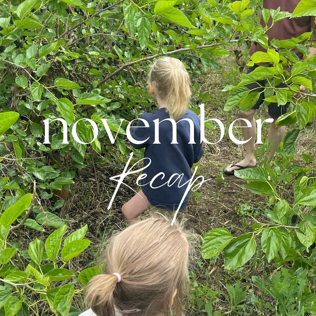 November&hellip; you were a whole mood.
Mulberry-stained fingers, kindy Christmas concerts, Lucy&rsquo;s Children&rsquo;s Uni graduation, furniture renos, rainstorms, a brand-new driveway, Christmas crafts scattered everywhere, welcoming new clients 