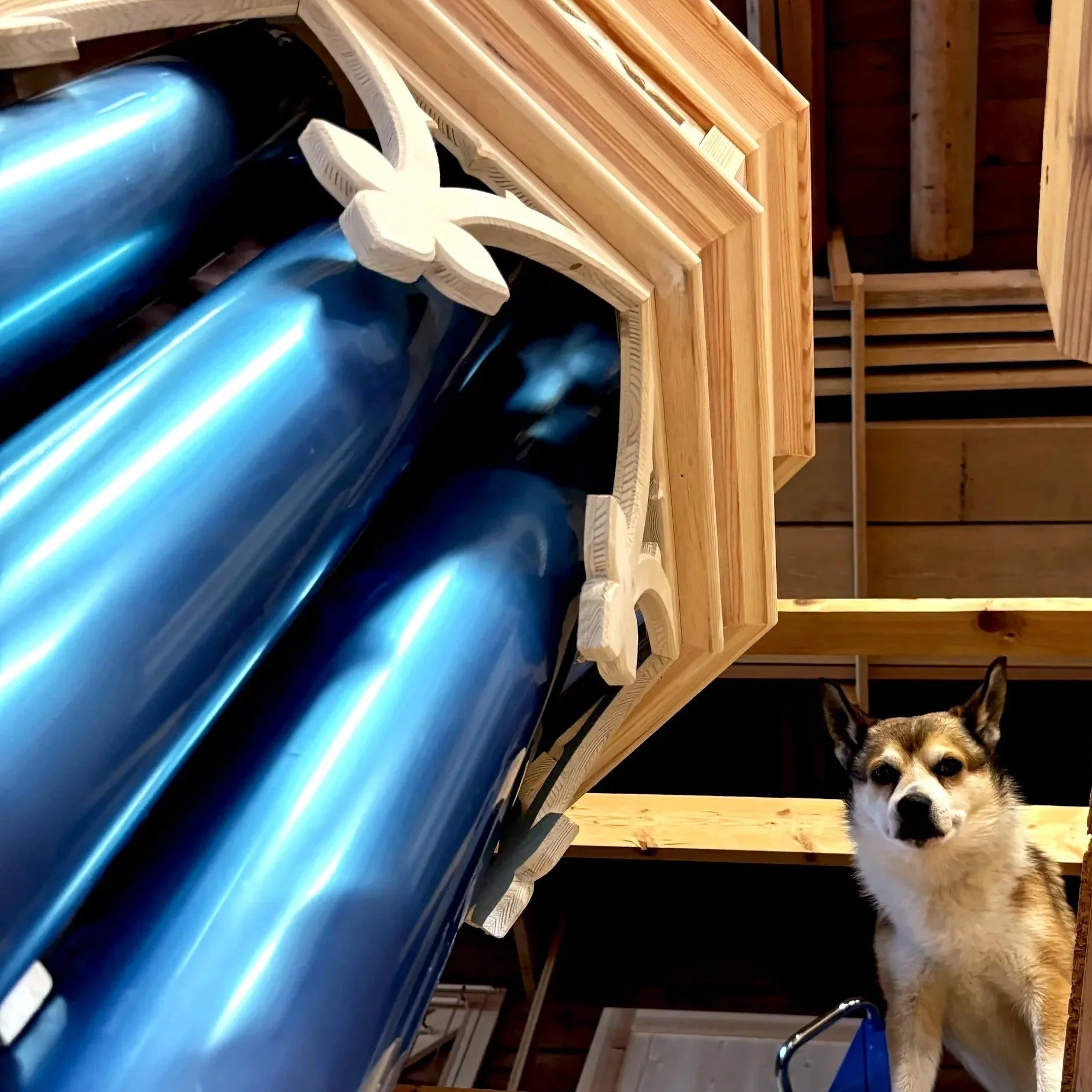 Orgelbyggerens hund (foto: vos)