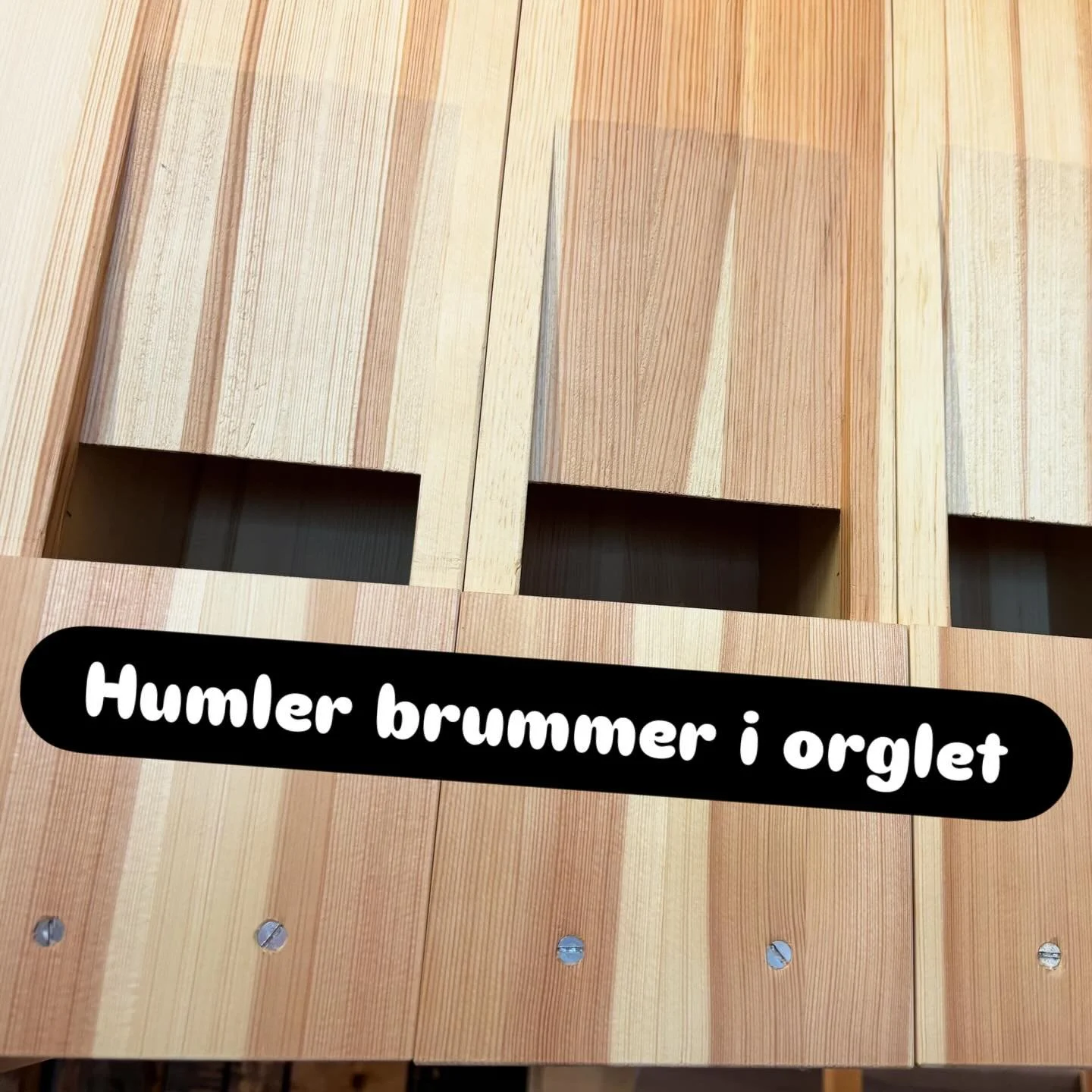 Bli kjent med Olavsorgelets stemmer: 

Br. Torkildsens orgelbyggeri har latt seg inspirere av to franske orgler n&aring;r de skulle orkestrere v&aring;rt Olavsorgel.

Bourdon er fransk for humle og bourdonner betyr &aring; brumme. Navnet er derfor et