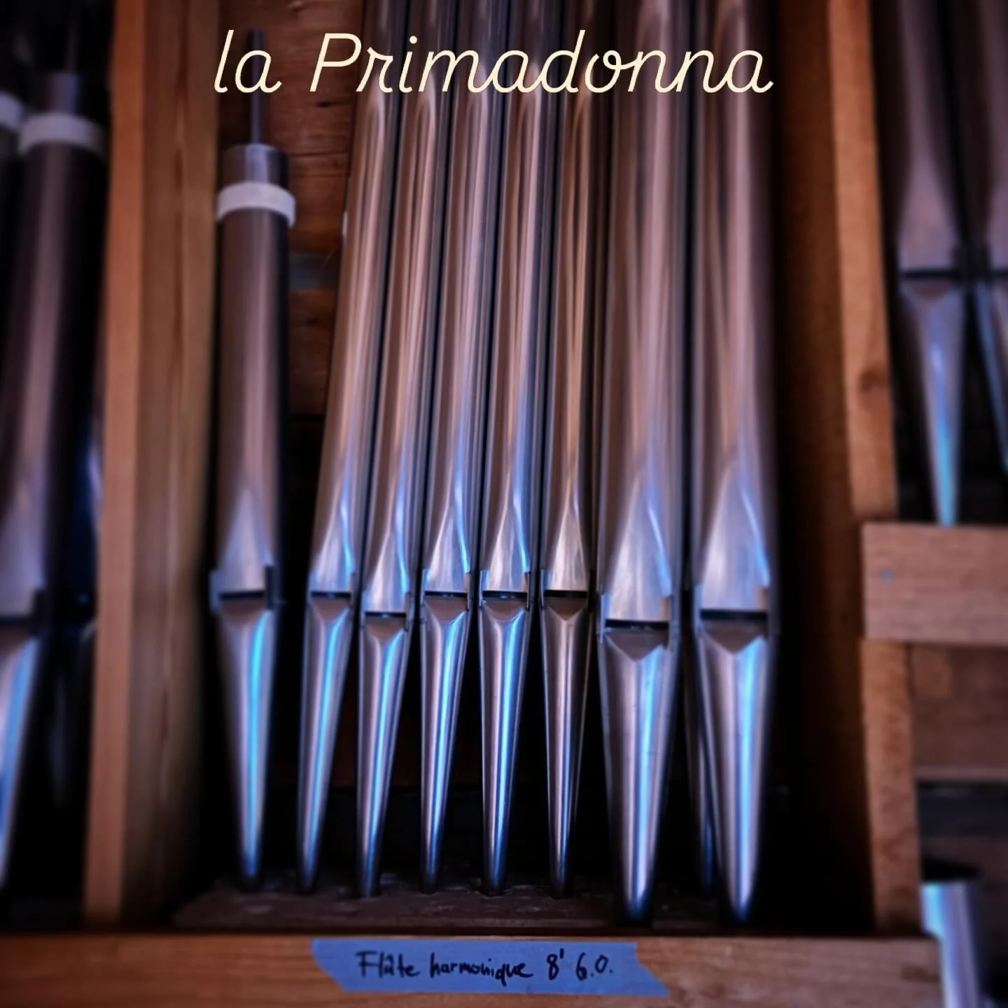 Bli kjent med Olavsorgelet 3:

Fl&ucirc;te harmonique er &ndash; blant fl&oslash;ytene &ndash; en primadonna. Det sies at orgelbyggeren Aristide Cavaill&eacute;-Coll skapte denne stemmen p&aring; 1840-tallet. &ldquo;Madam Harmonique&rdquo; vil nok, m