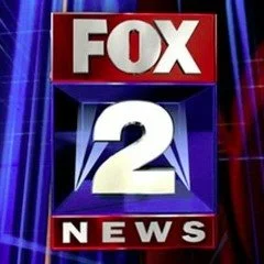 fox 2 image.jpg
