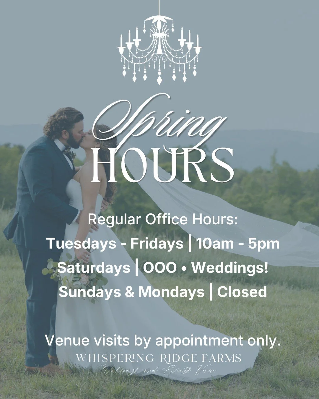 S P R I N G  H O U R S

Spring season is in our midst! Please see our updated hours and how to contact us here. Happy wedding season! 💍 🤍 🌿

Background photo: @photosbyjennanicole