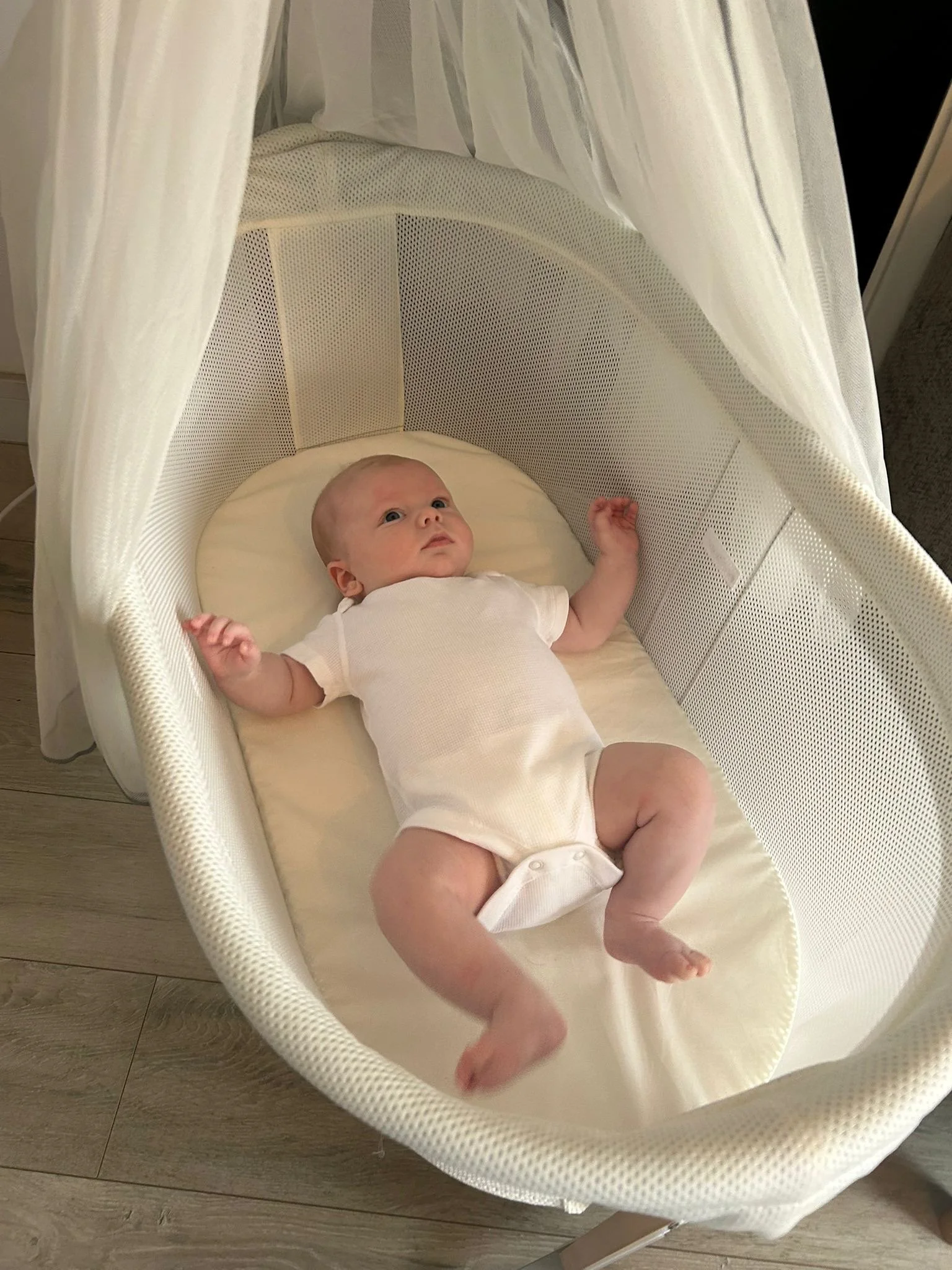 Babybjorn Cradle - Review