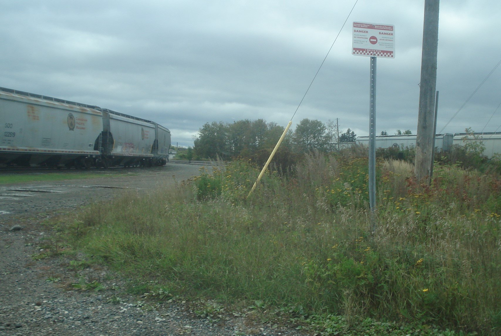 grain cars blocking Shipyard Rd.JPG