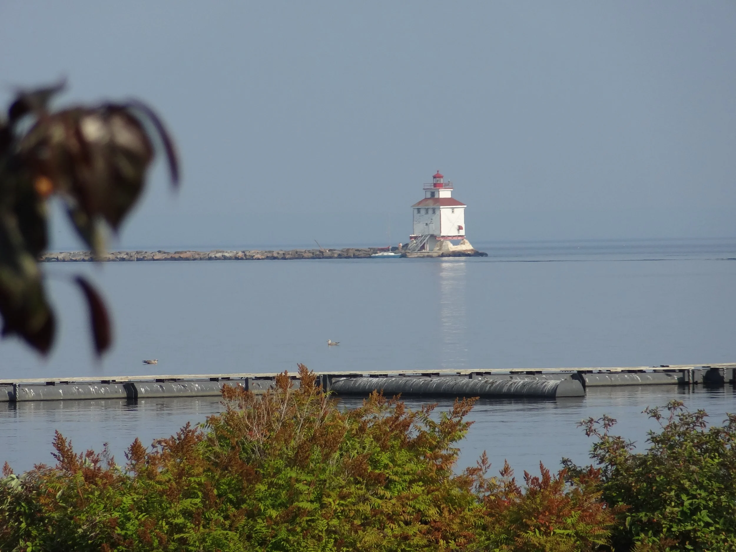 Photo Credit: Michael Hull