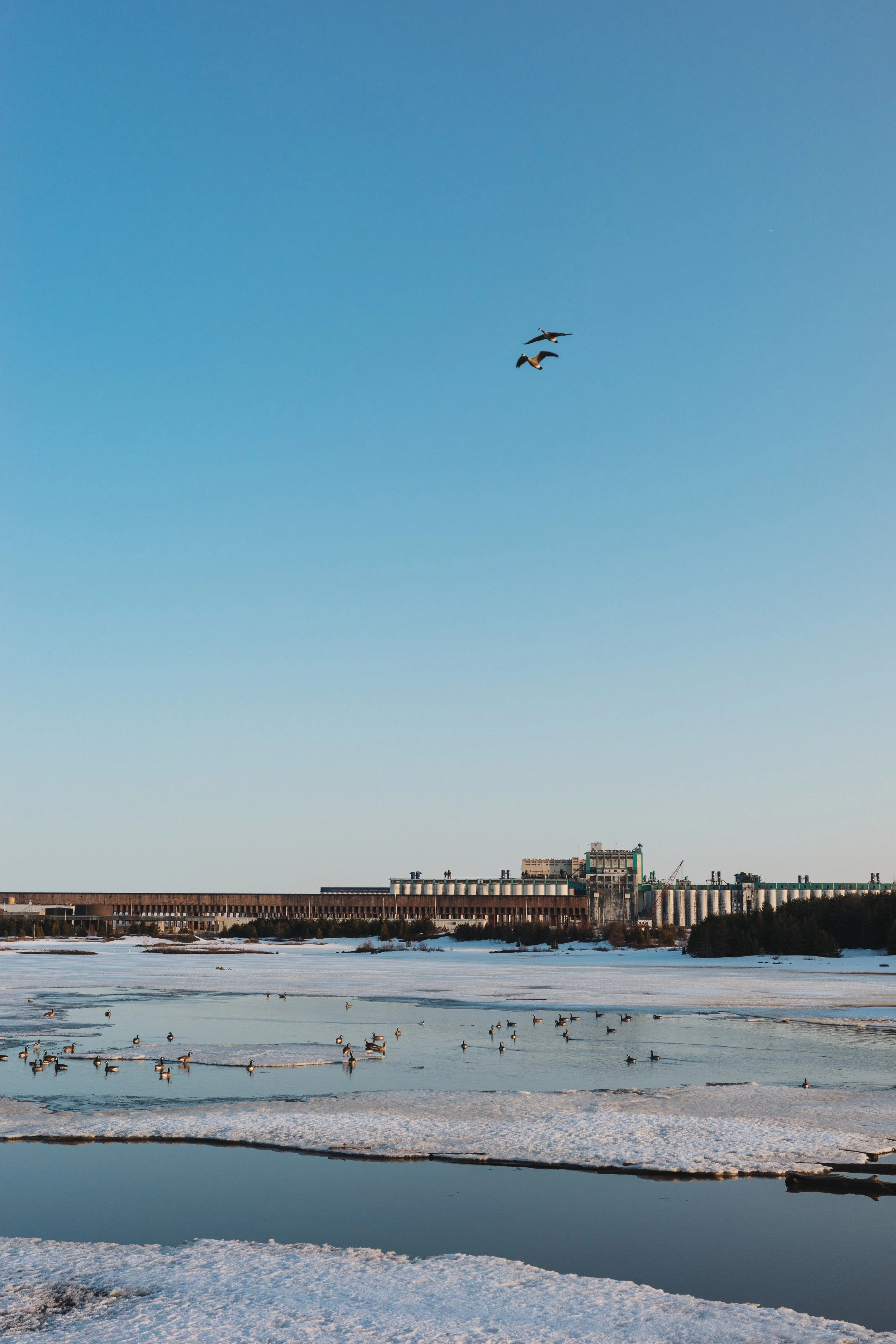 Photo: Courtesy of Patrick Chondon.