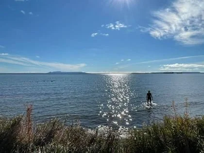 giant from deborah.jpg