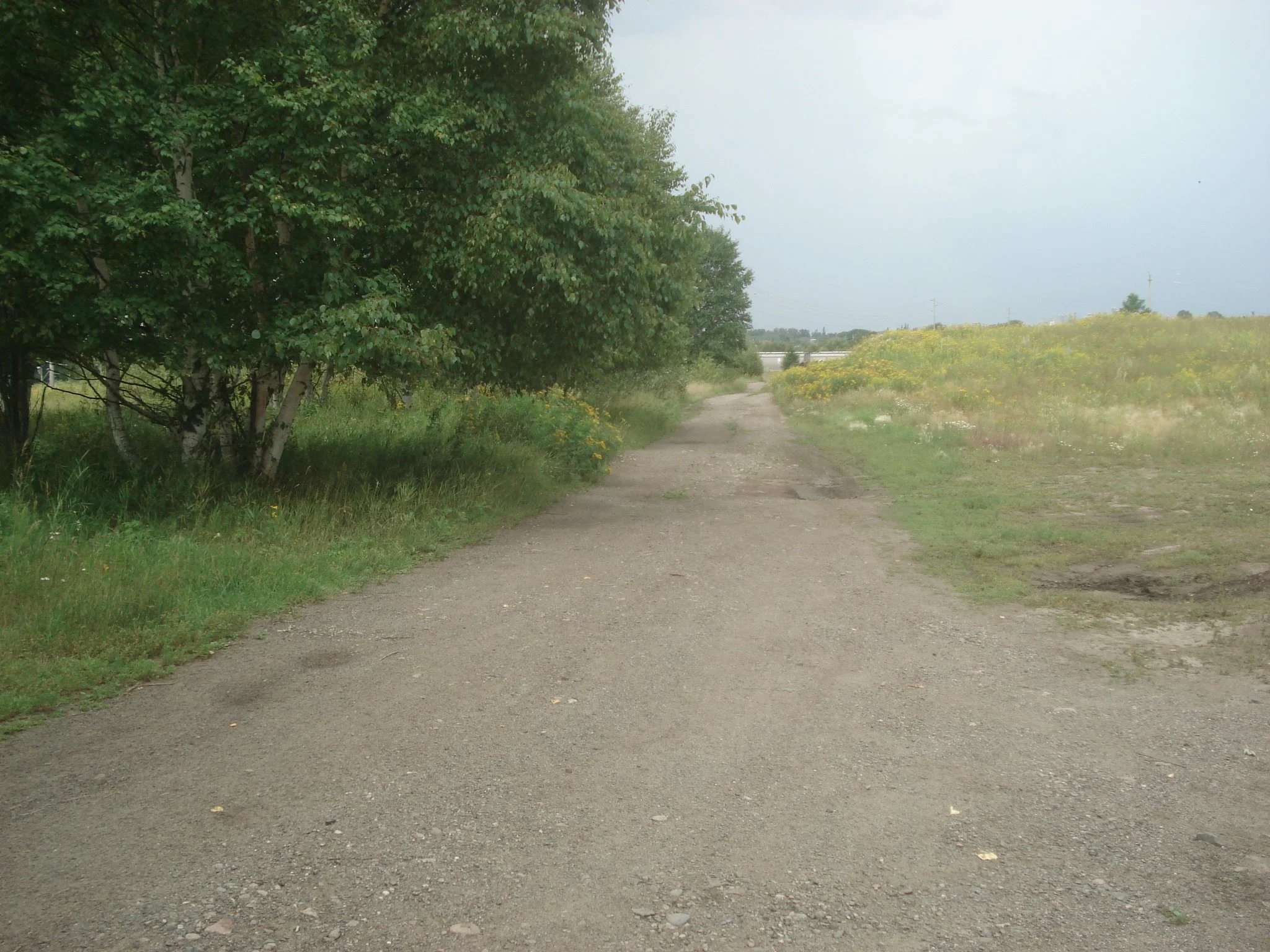 wt walking trail from Pool 6 to Marina Park 2022.JPG