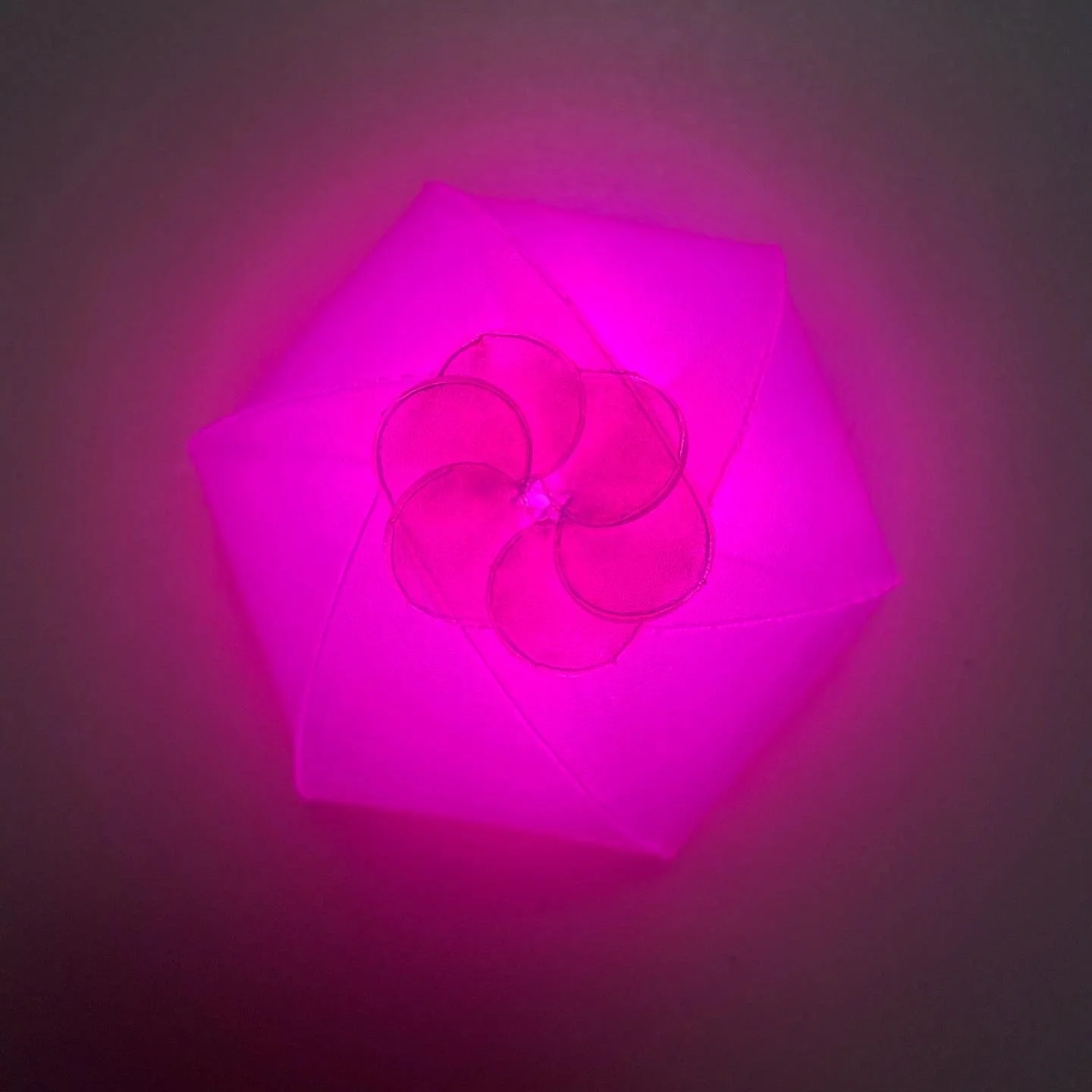 CE156B9F-127B-4282-BE2D-D50542DF1343 2.JPG