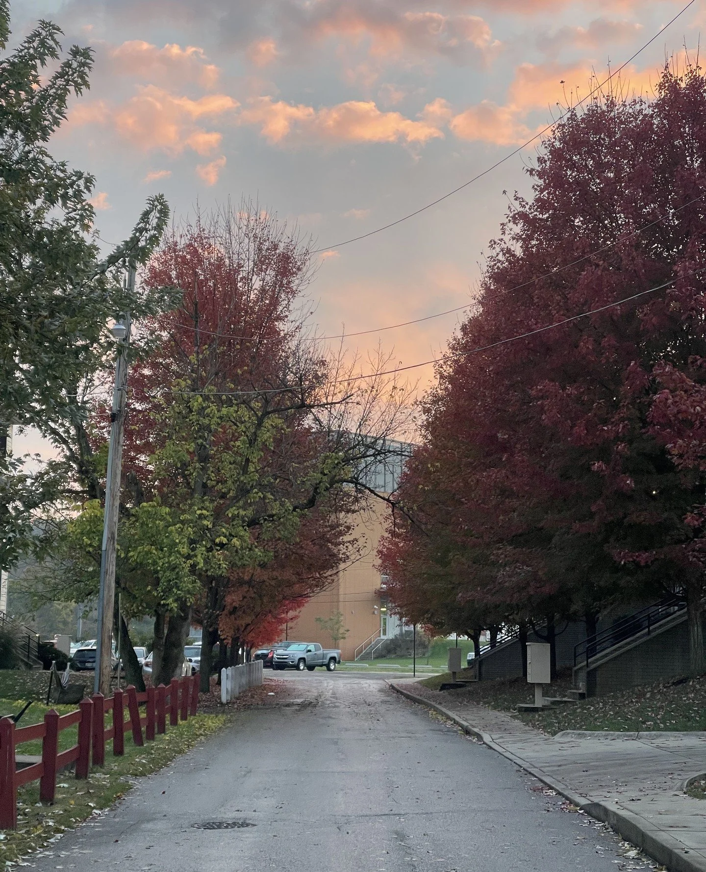 Autumn is in full swing, and campus has never looked more vibrant! 🍂