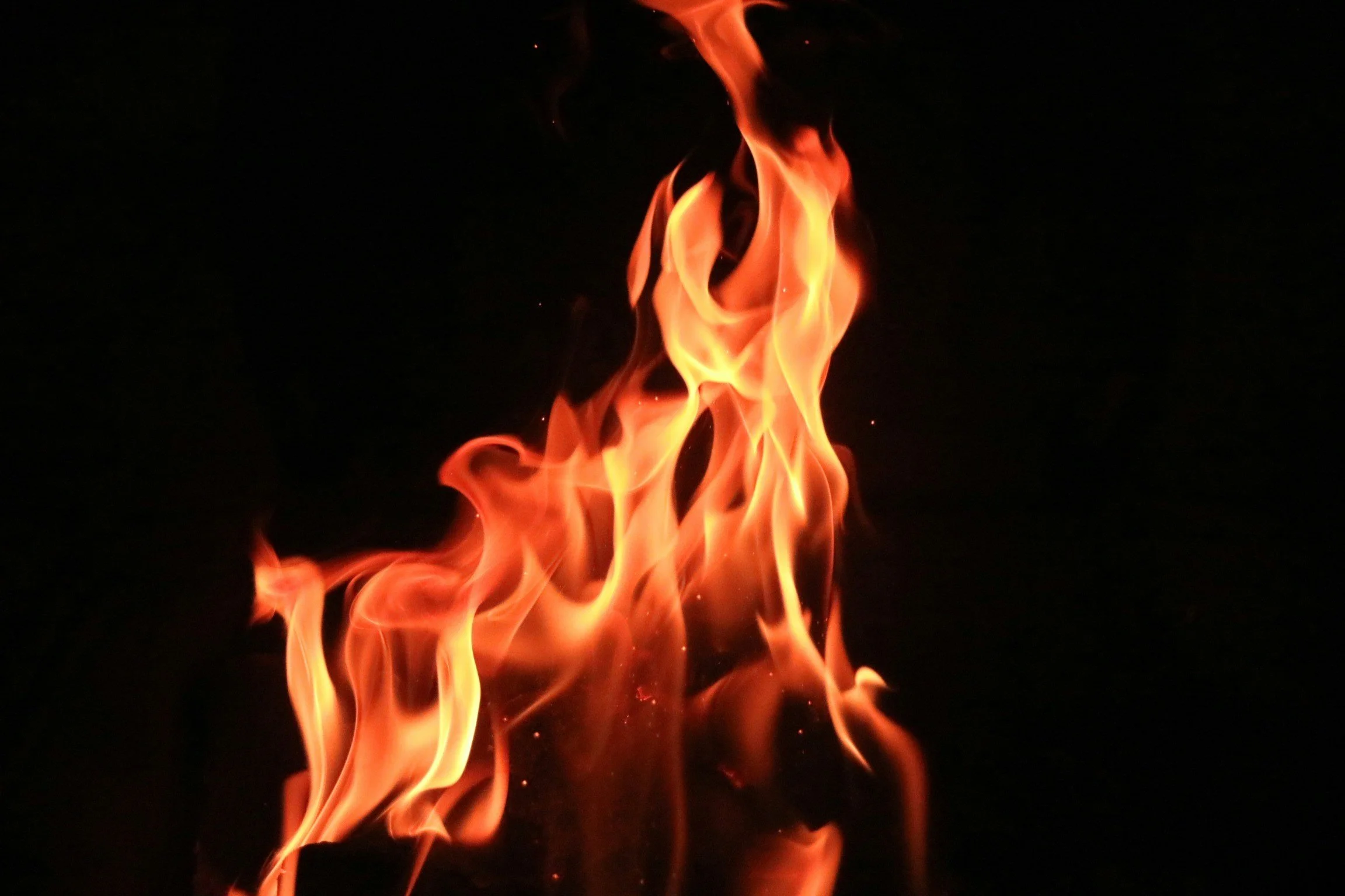Why so much inflammation?