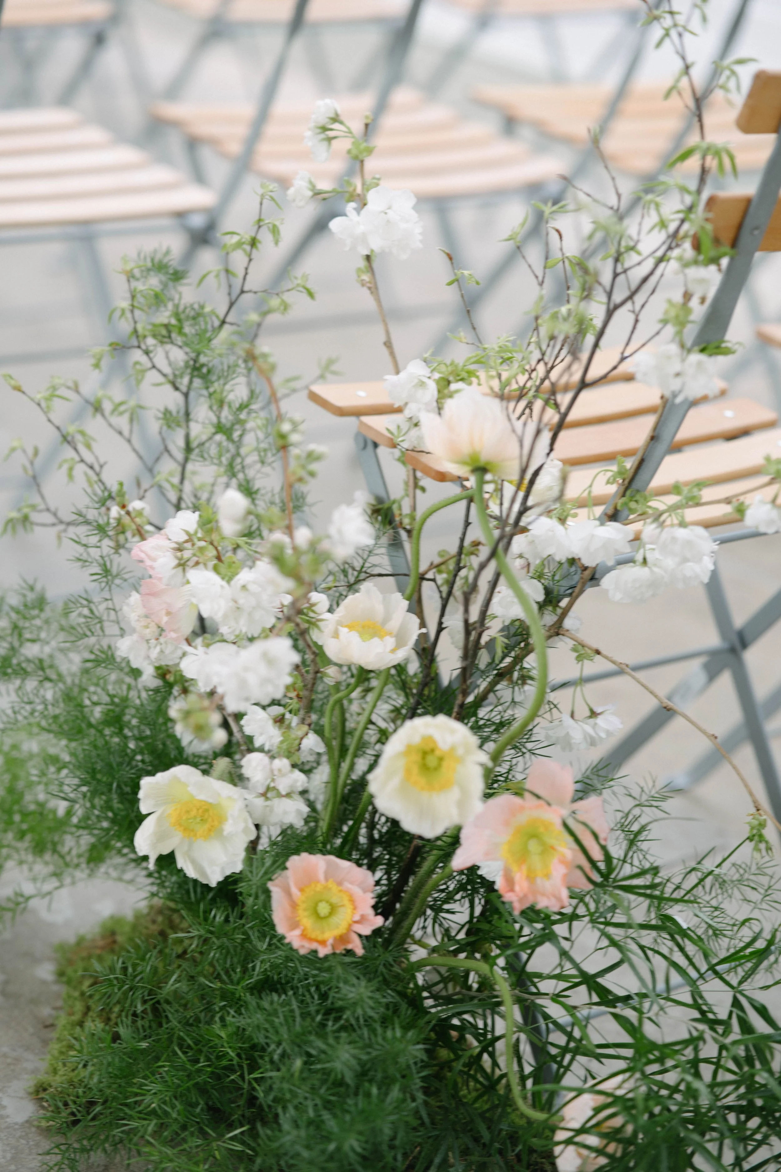 DSC00600.jpg
