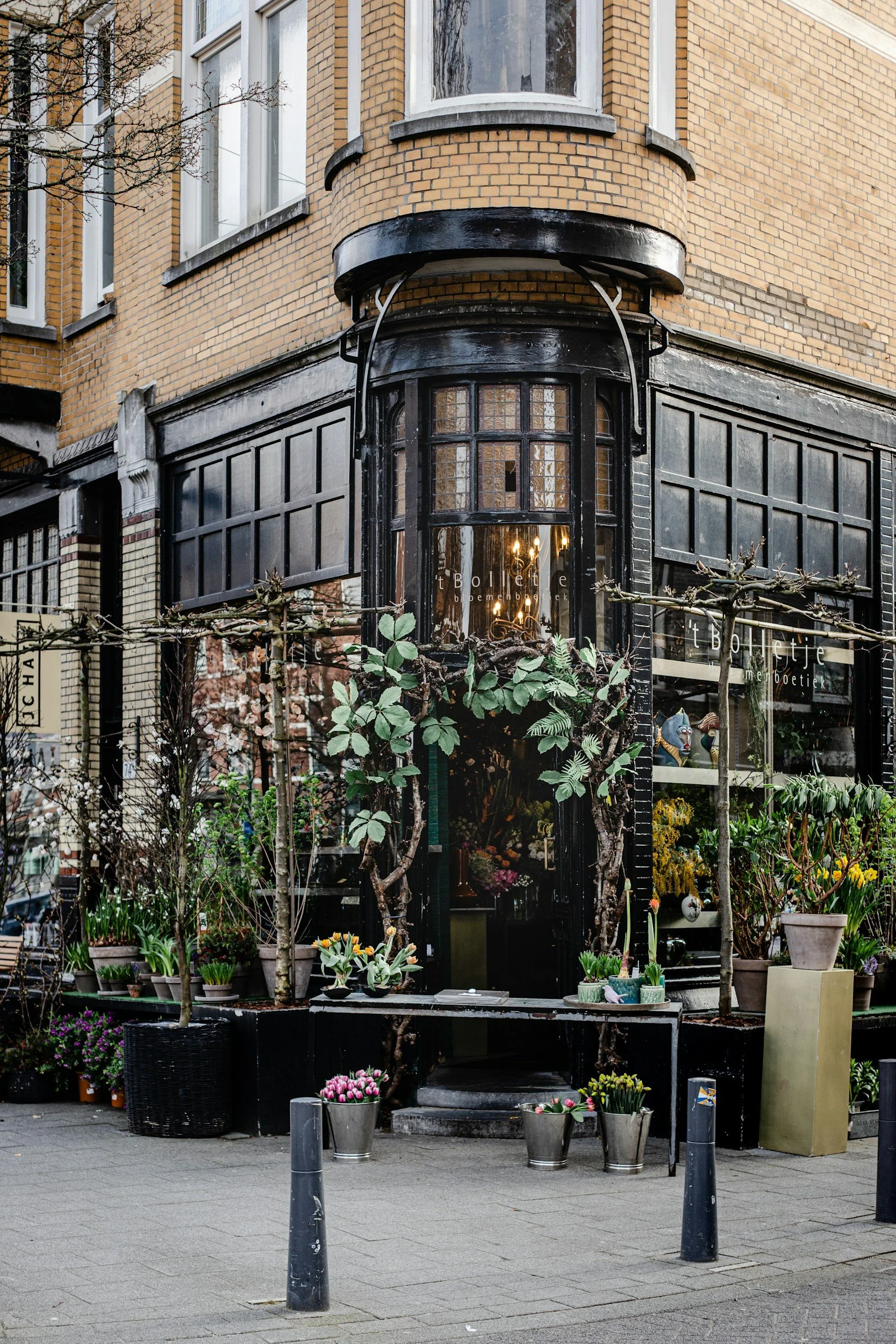 Floral Designer vs. Florist: What’s the Difference?