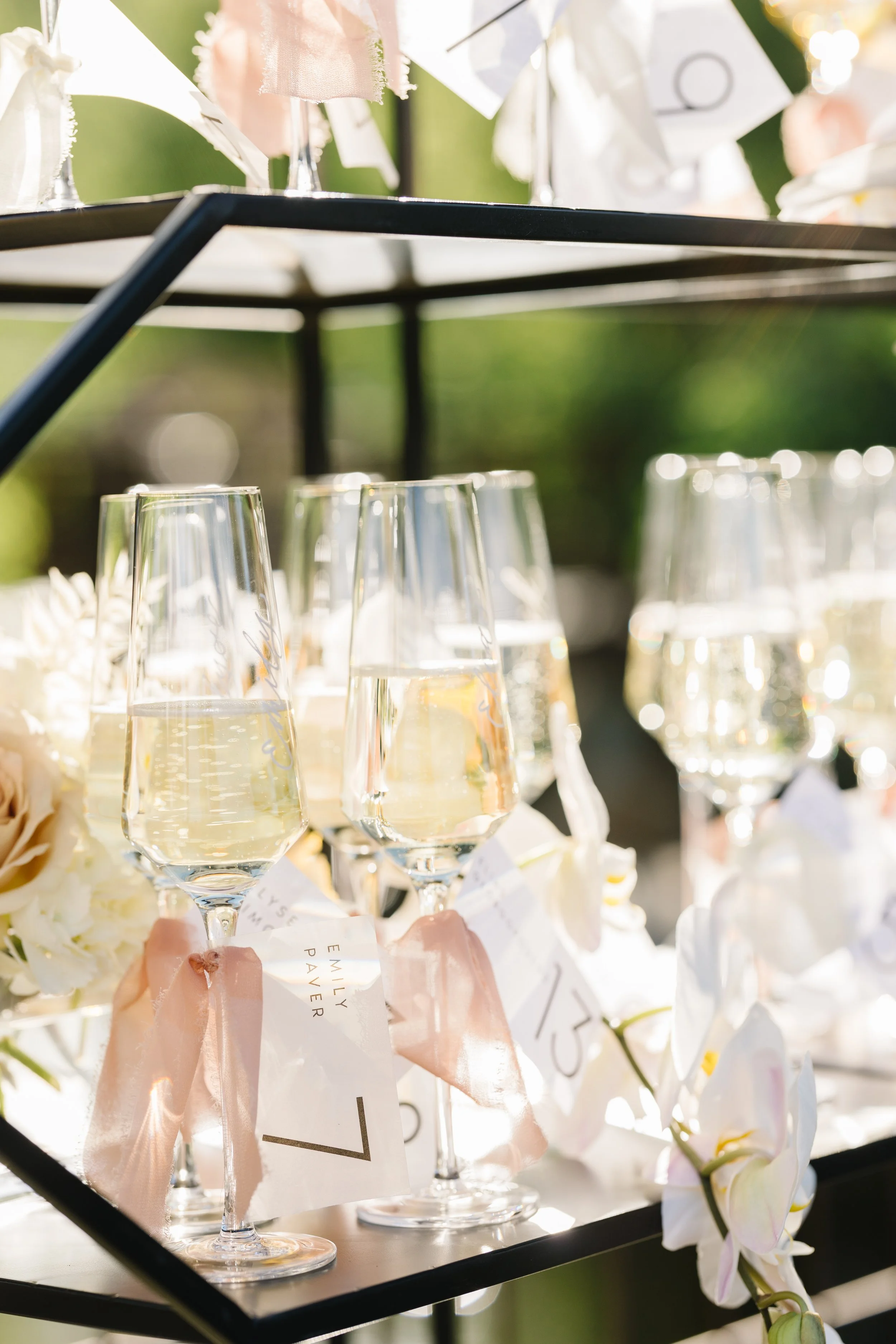 Photo Jun 11 2022, 6 53 48 PM.jpg