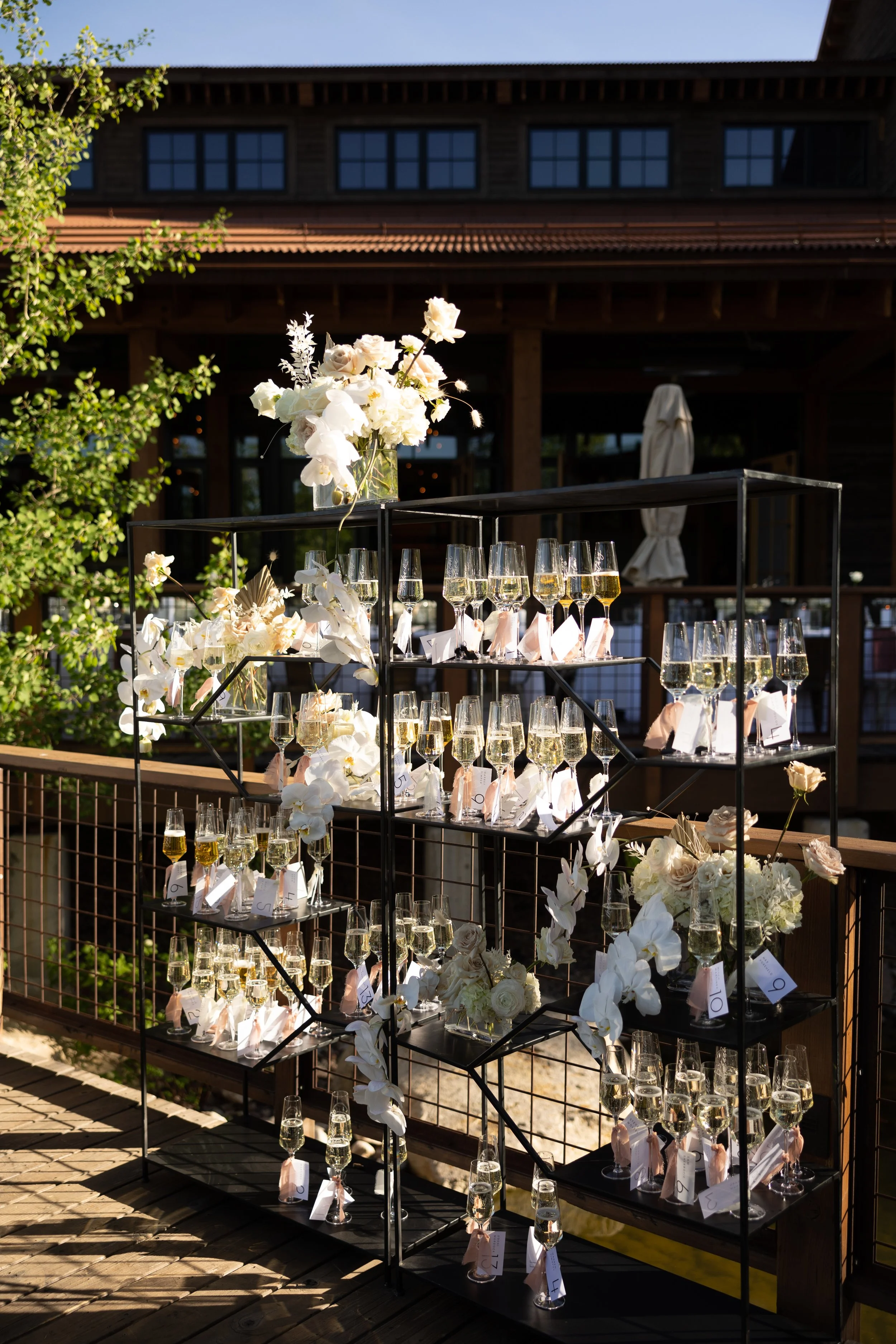 Photo Jun 11 2022, 6 54 28 PM.jpg