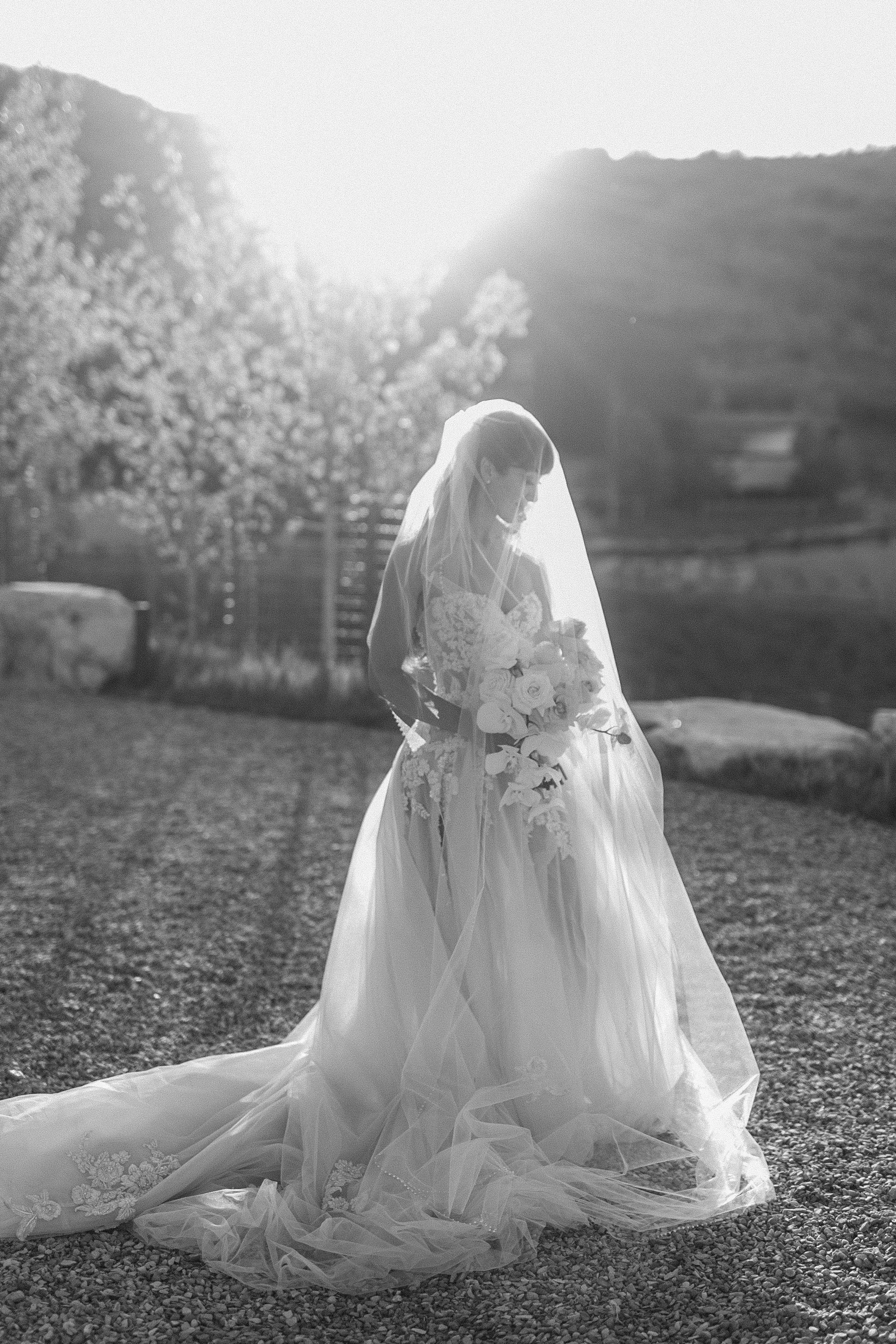 Photo Jun 11 2022, 7 05 06 AM.jpg