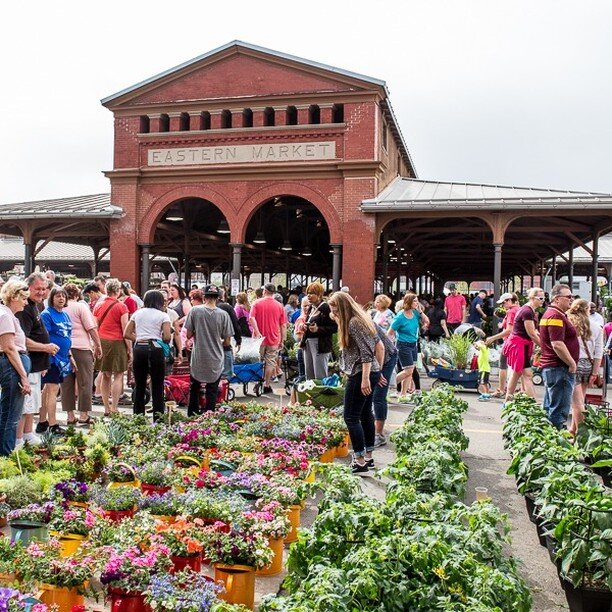 Eastern Market Flower Day is this Sunday! Check out our website/blog for all the places to eat, drink and shop! See you down there!

#beckerhomeadvisors #BHA #BeckerzBites #detroitfoodie #detroitfood #detroiteats #eaterdetroit #detroitrestaurants #de