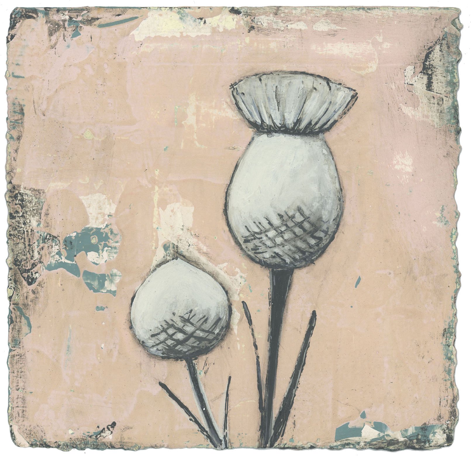White Thistle
