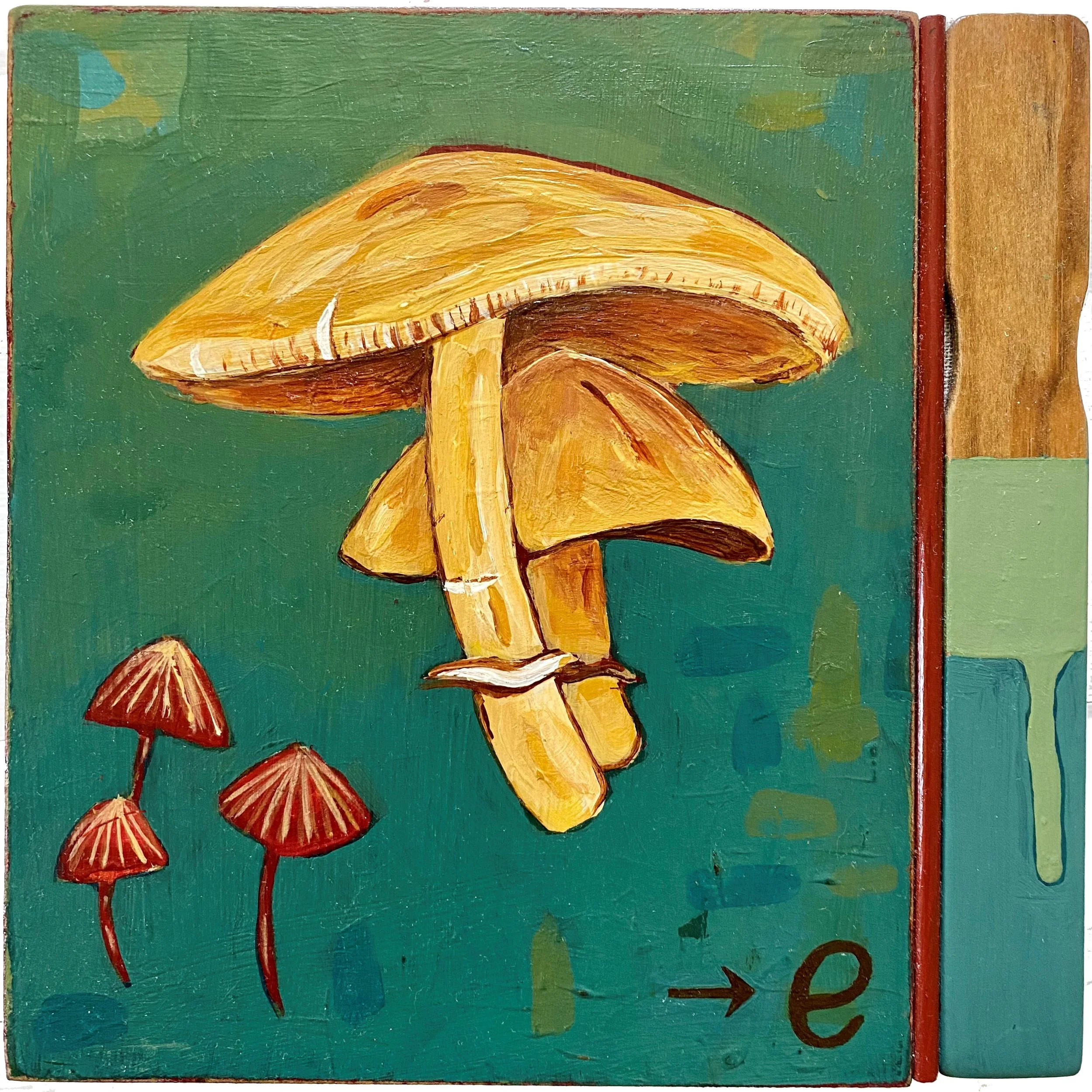 Photo Jun 23, 5 47 55 PM.jpg