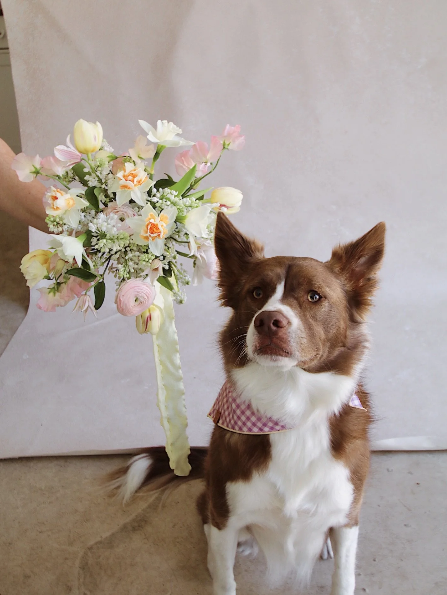 THE Indy of Indy Florals 🤎🤎🤎