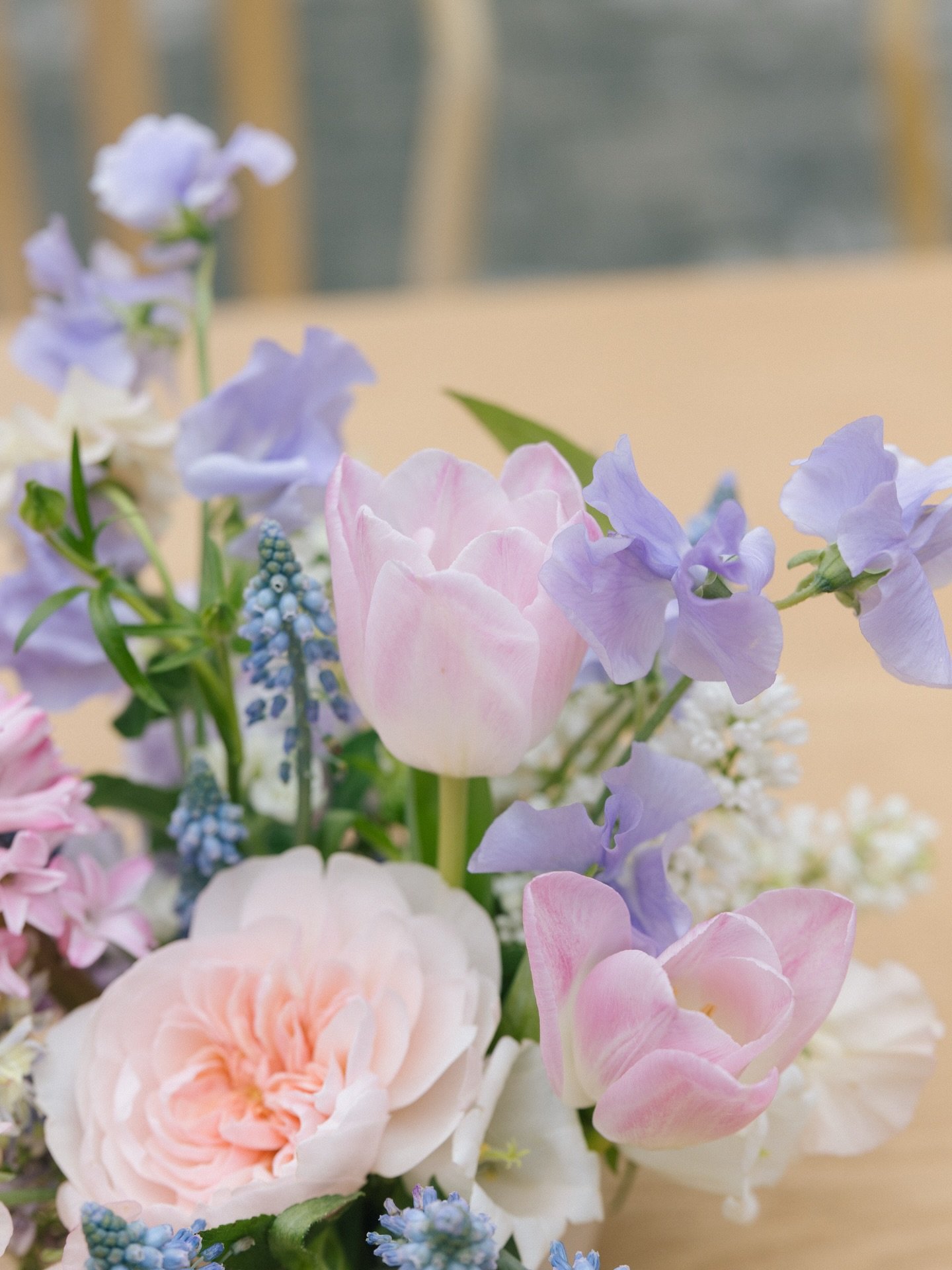 the sweetest 1st birthday party from february 🦋

Planning: @athleterelations 
Photographer: @kellymartucci 
Florist: @indyflorals 
Rentals: @collectedrentals_jax 
Bounce house: @bounceforlove 
Decor: @capricreations.co 
Sweets: @bakeoreatsweets 
Cof