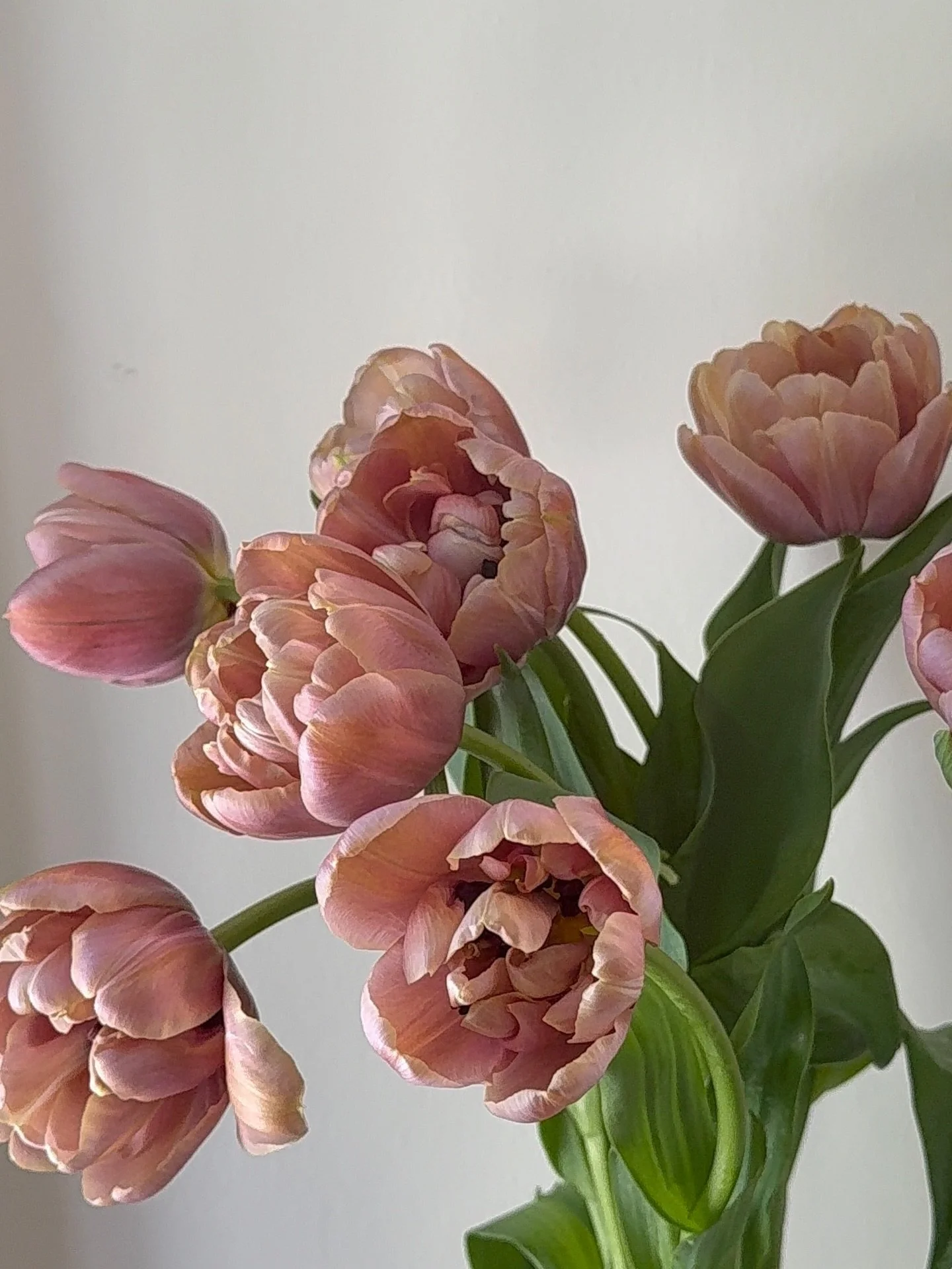 Spring, I&rsquo;ll miss you!
As my favorite season comes to a close, I wanted to share a few behind-the-scenes moments from the past couple of months. Spring was filled with travel, designing and so many beautiful flowers.

While summer is wedding se