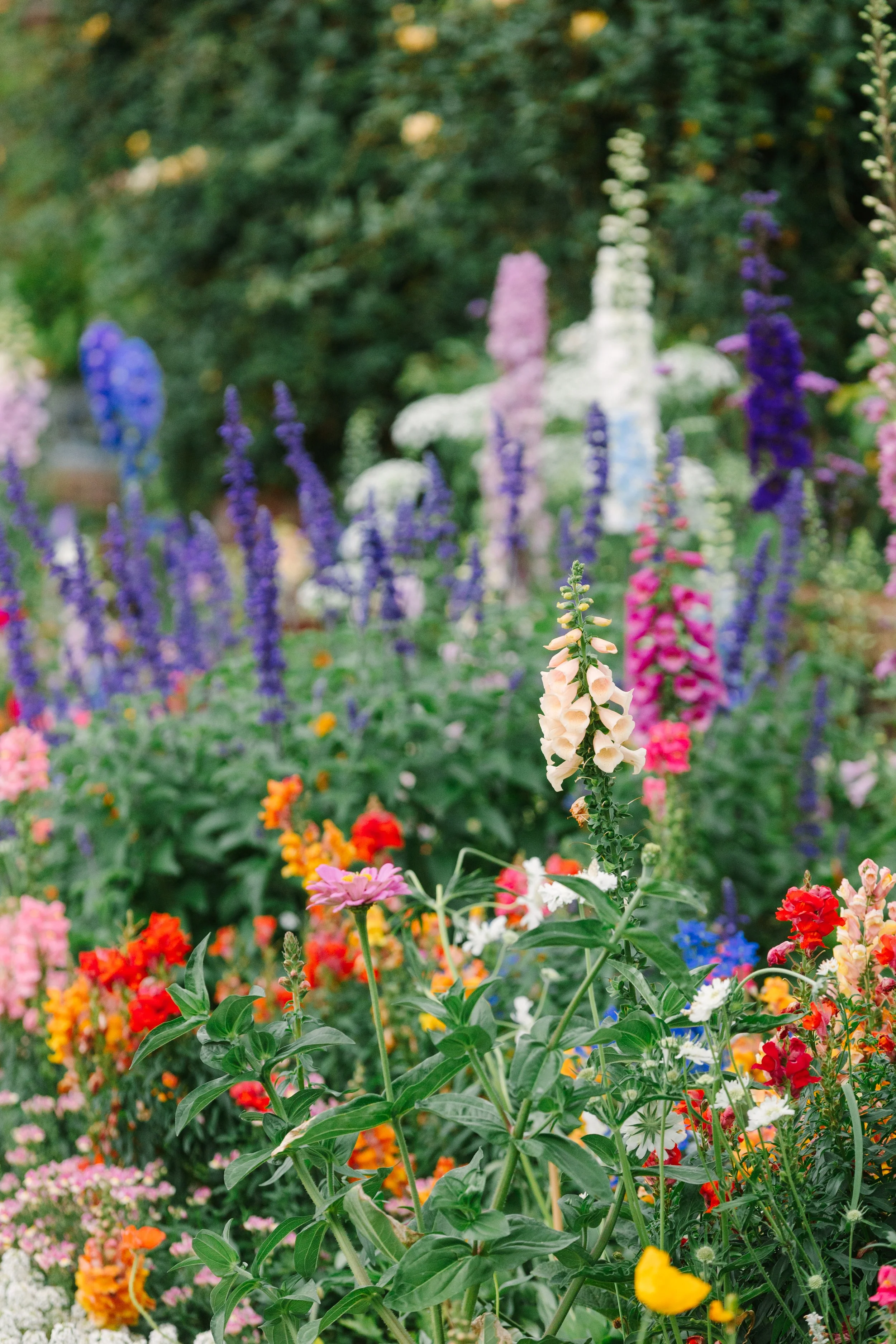 Wedding-Cereamony-SarahdipityPhotos441.JPG