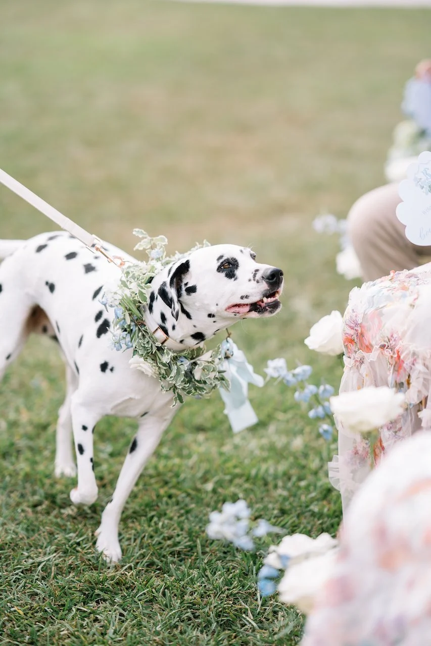 ceremony-142.jpg