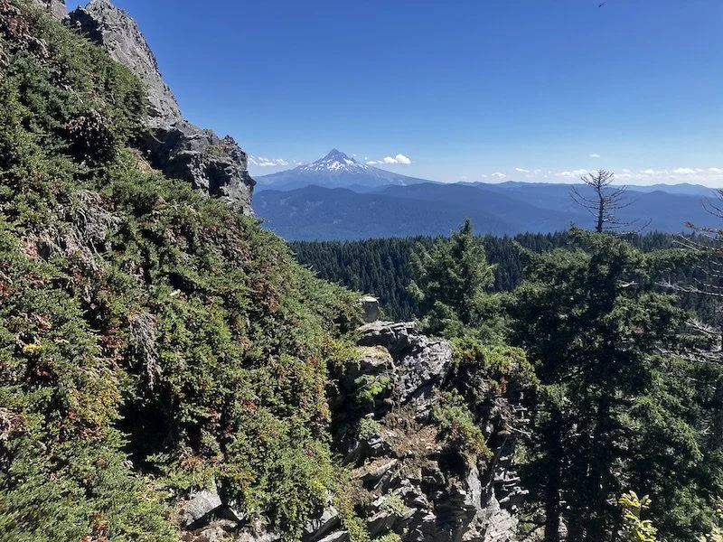 August 22, 2026 Mindfulness Hike: Larch Mountain Crater Loop Journey