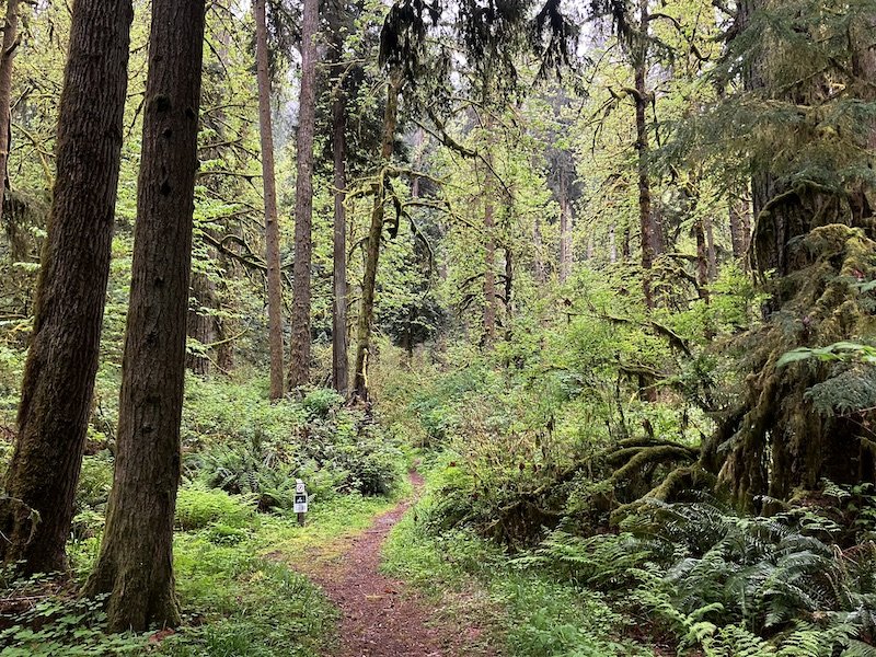 August 8, 2026 Mindfulness Hike: Oxbow Regional Park