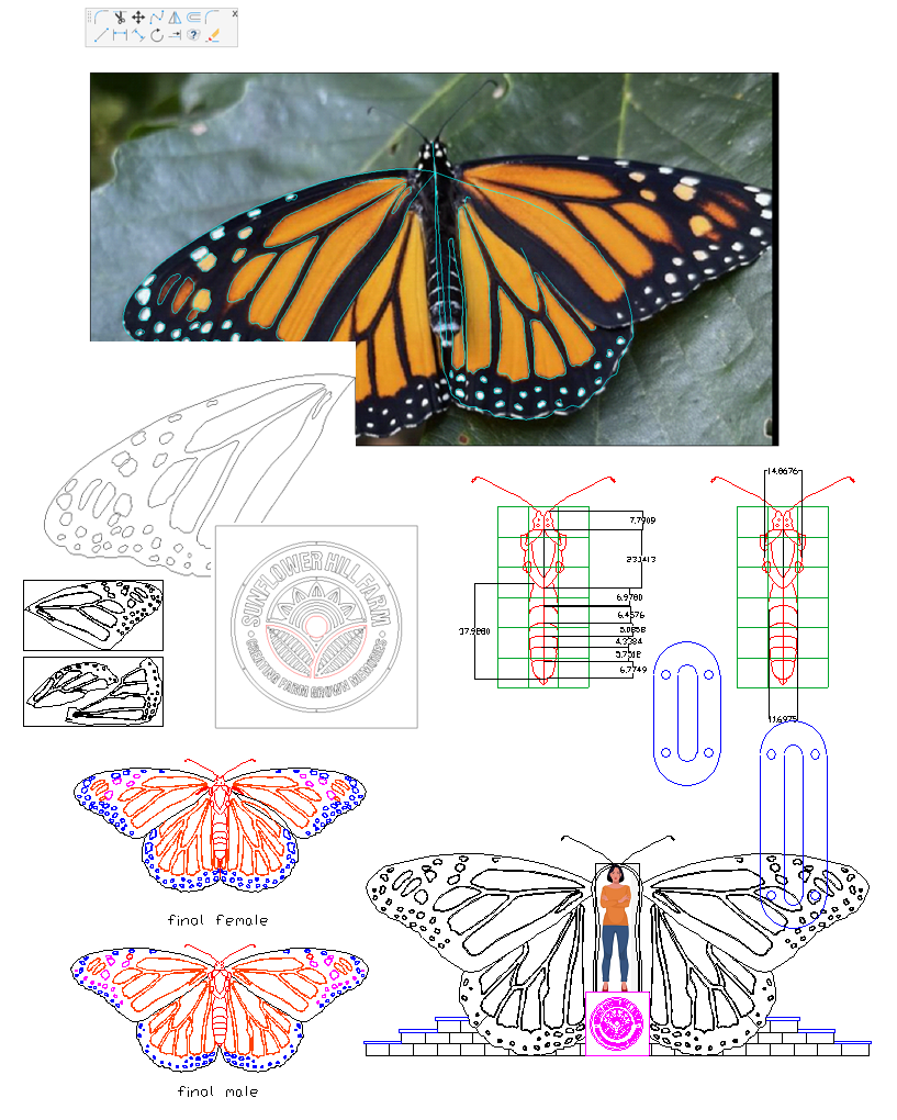 Trace a real butterfly and scale it...
AutoCAD -coolest tool ever