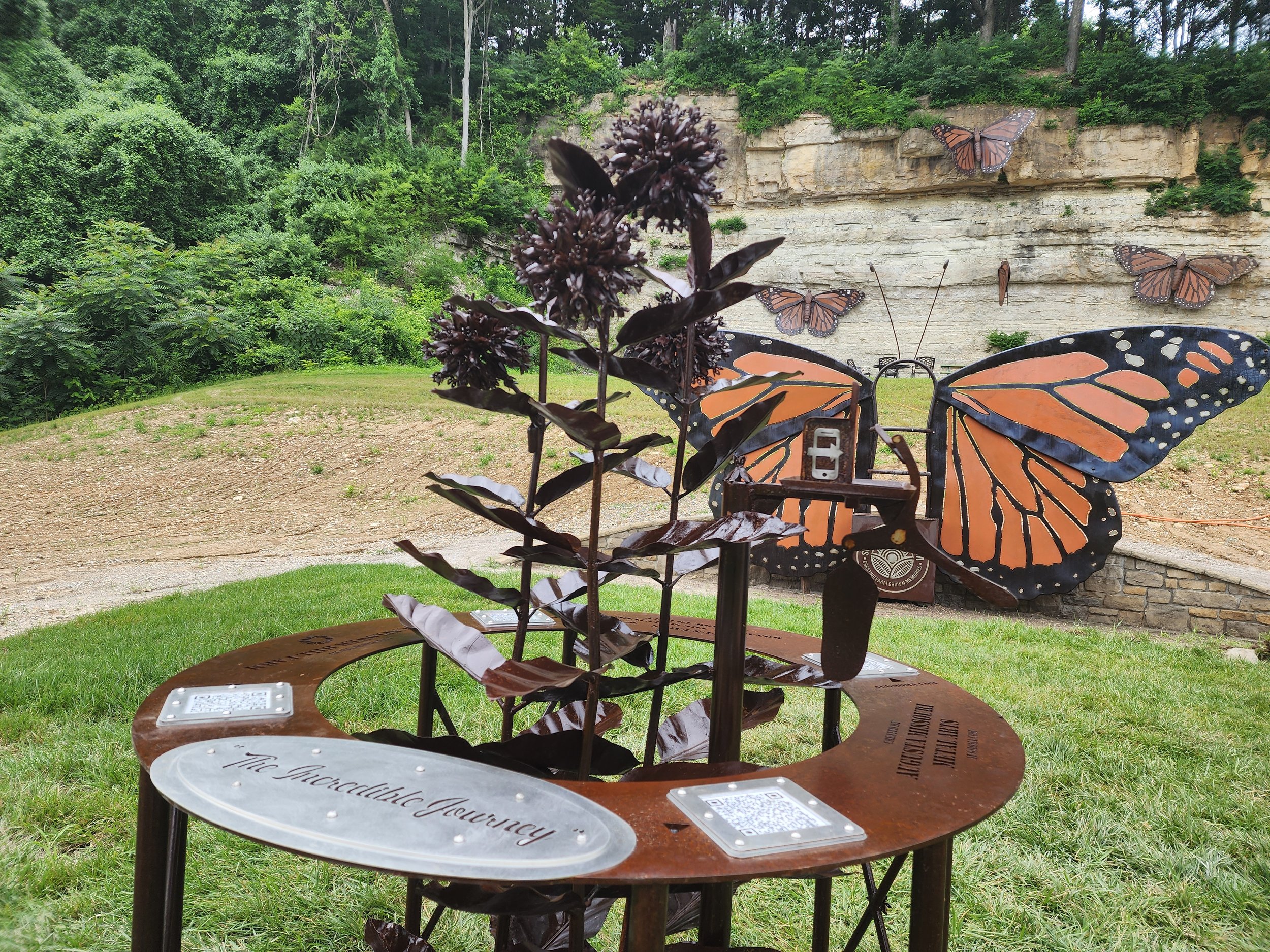 milkweed 1.jpg