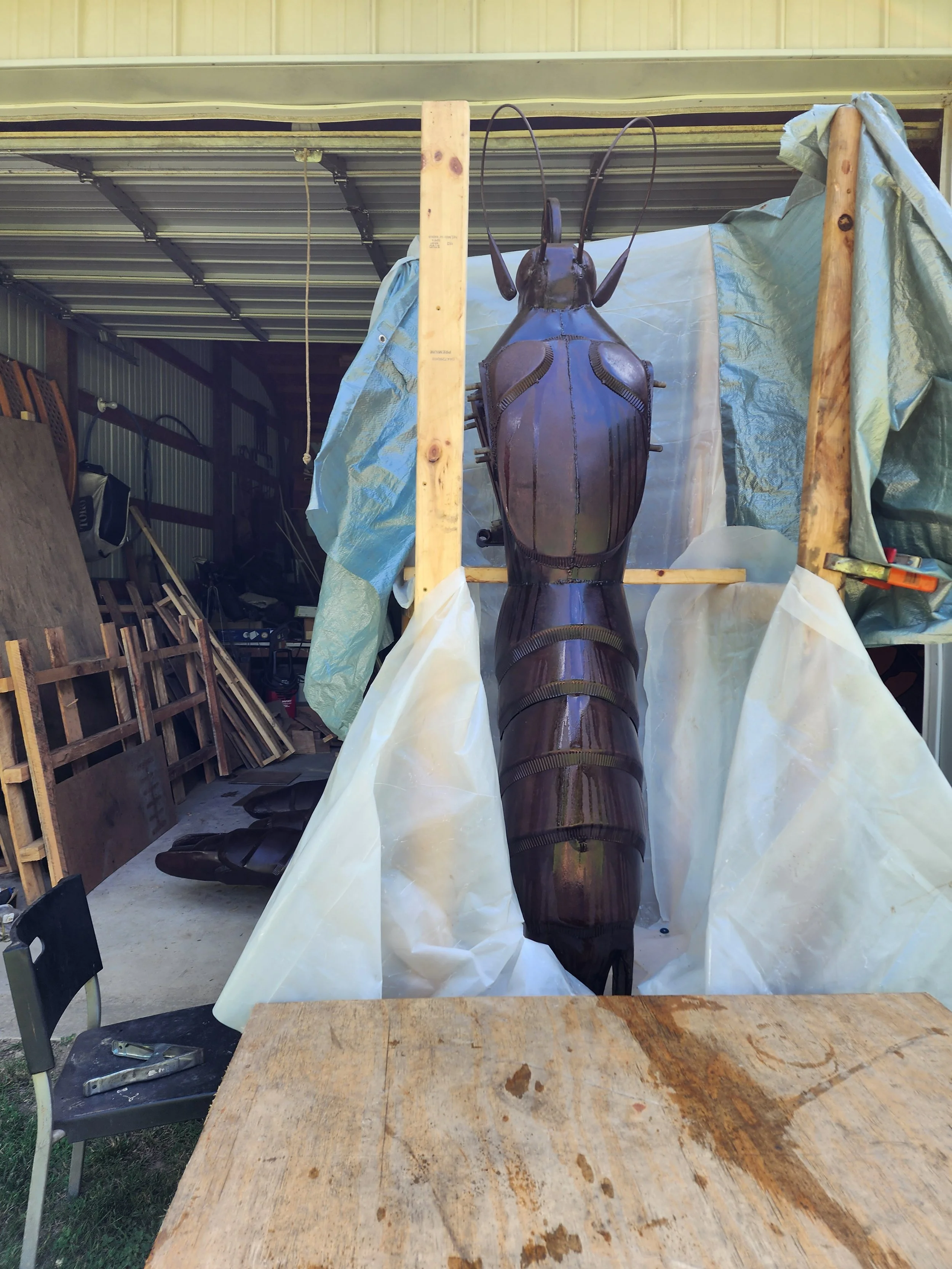 treating the internals for long lasting fun