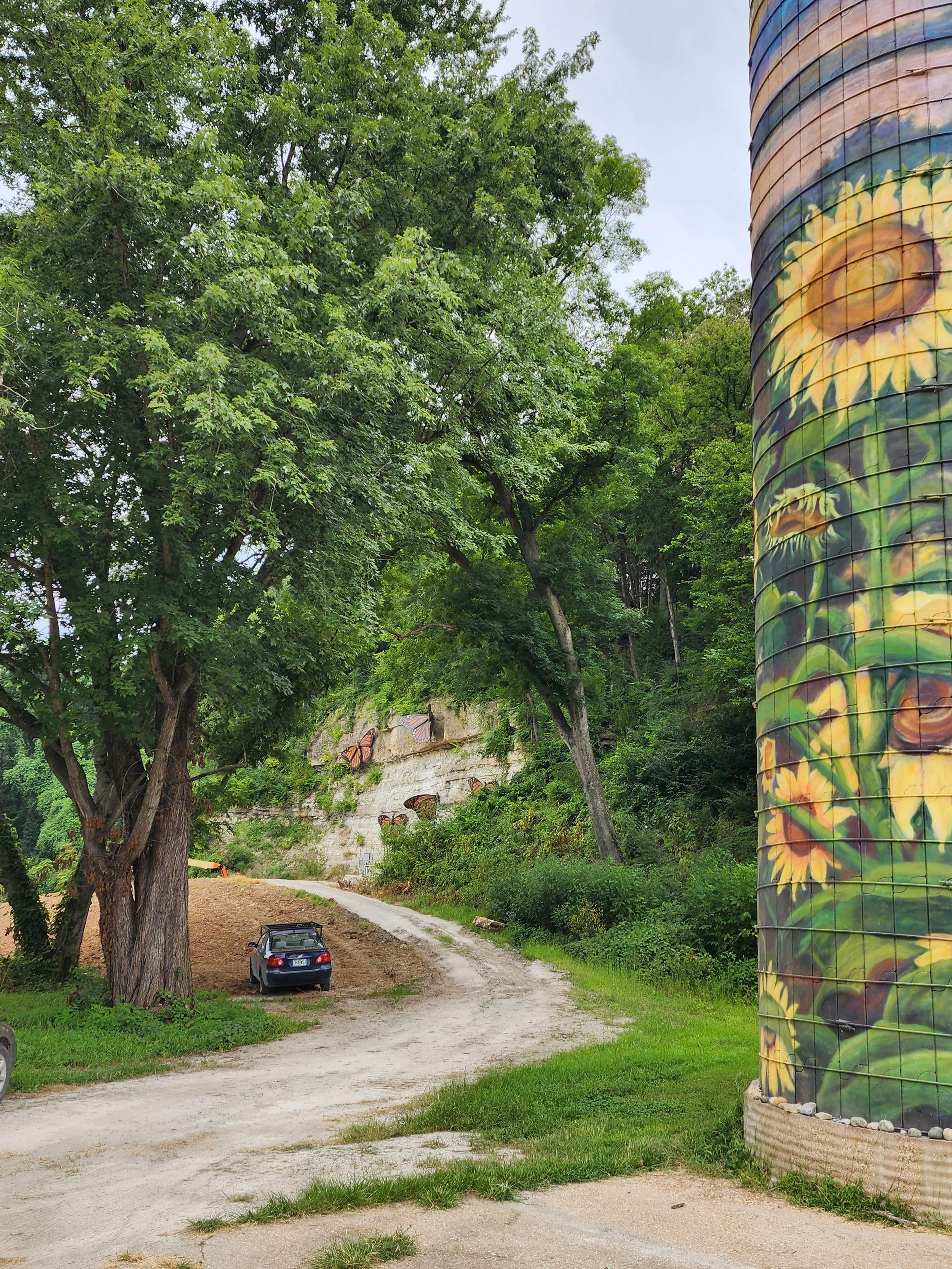 A great setting for these guys