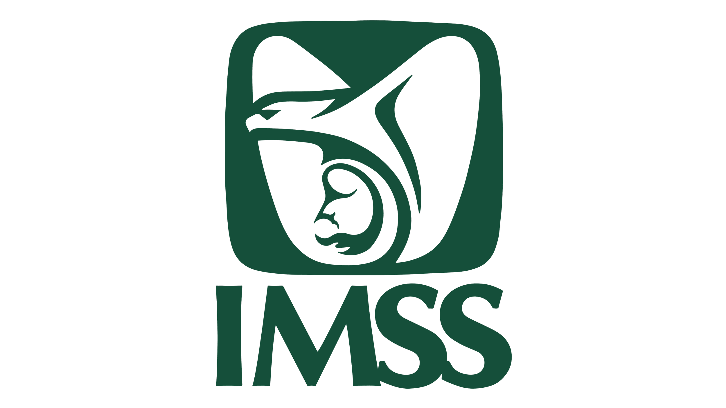 clientes_maveesa_imss