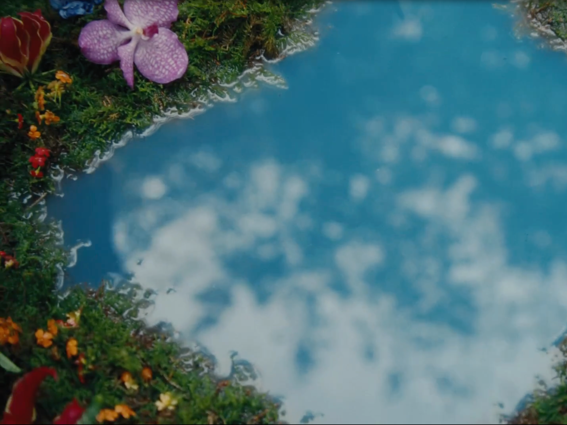 CAMPAIGN / WATER AID