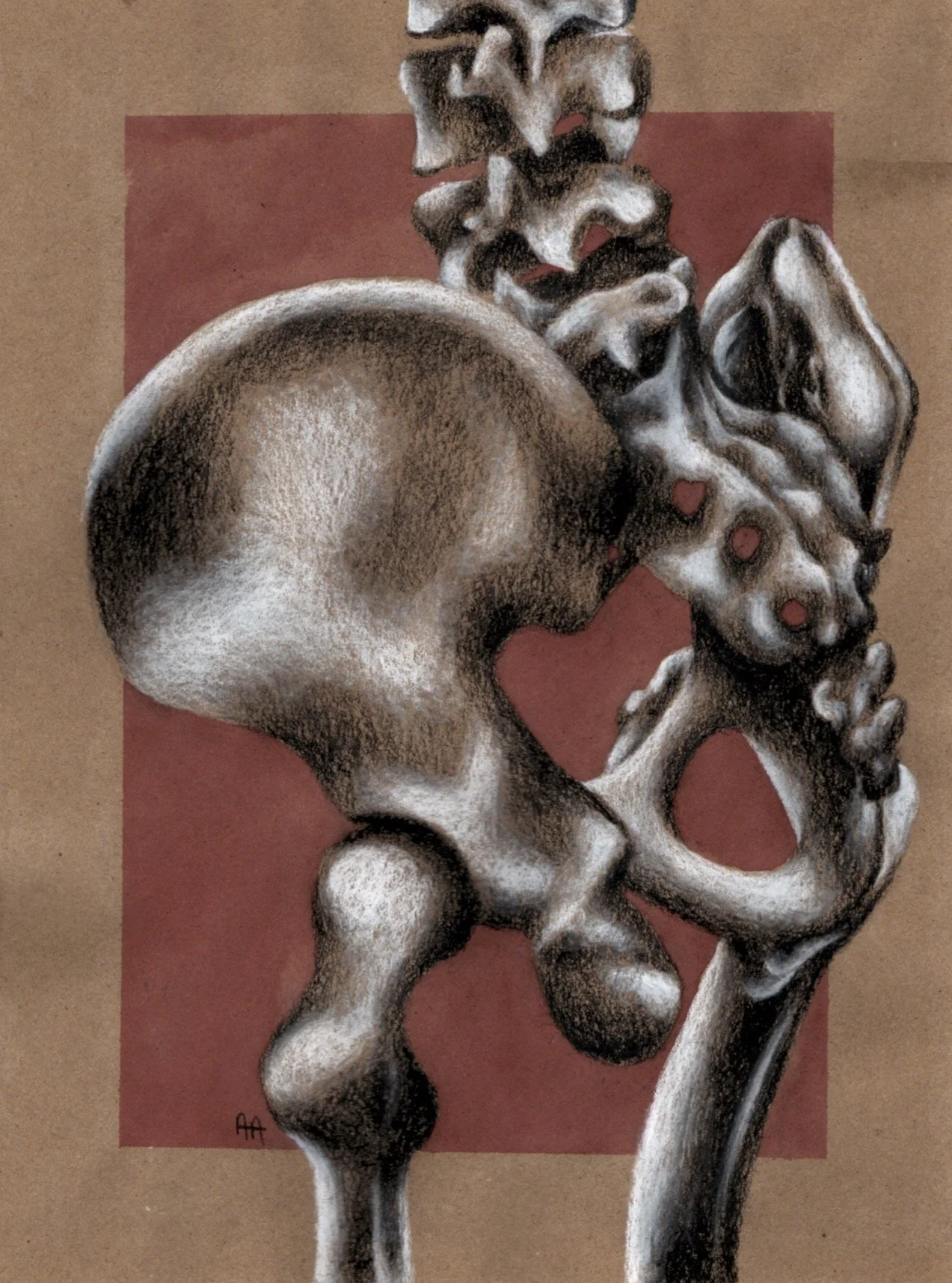 bones.jpg