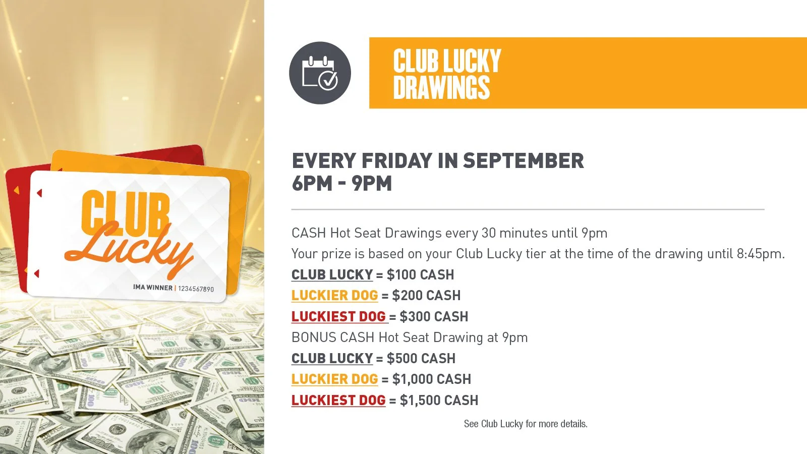 CLUB LUCKY DRAWINGS