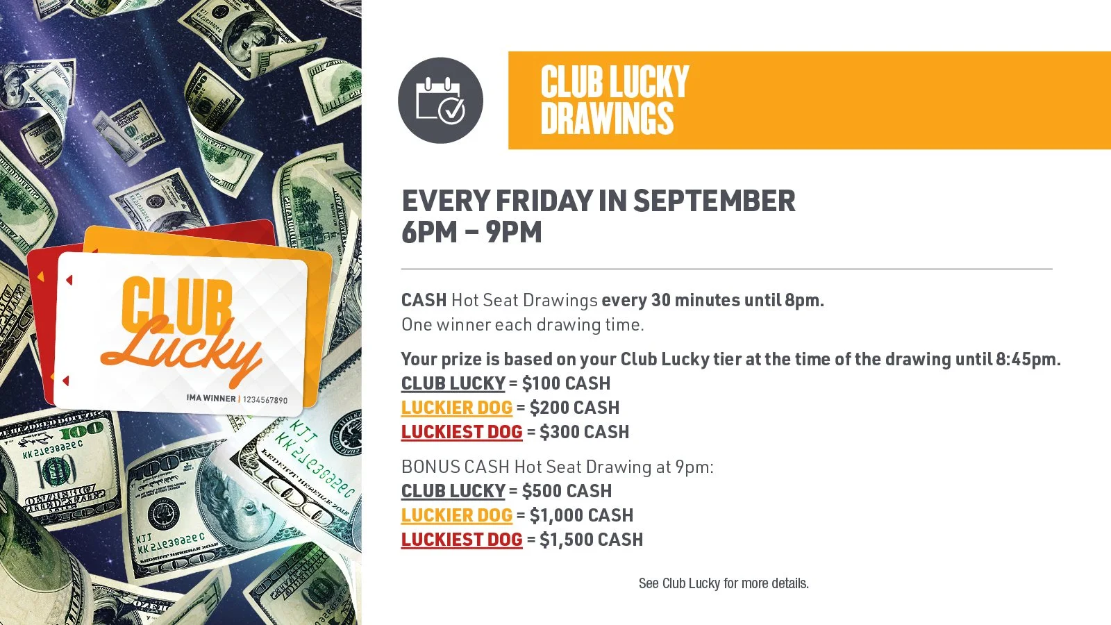 CLUB LCUKY DRAWINGS