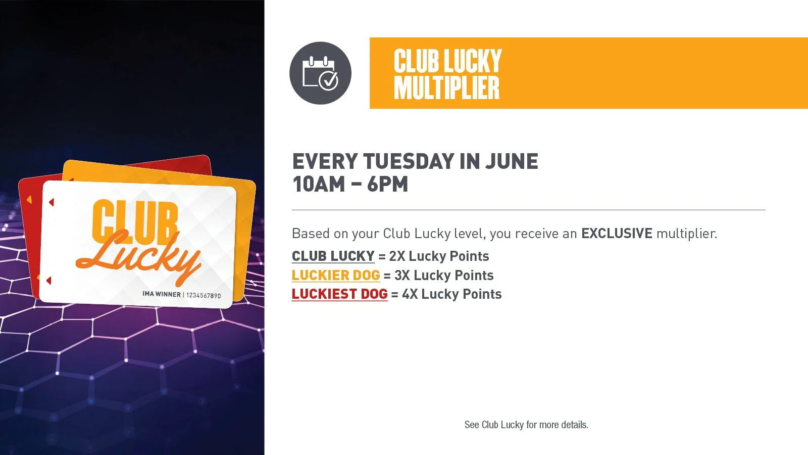 26-DOG-01707 Jun Promo App Digitals P1 1600x900 CLUB LUCKY.jpg