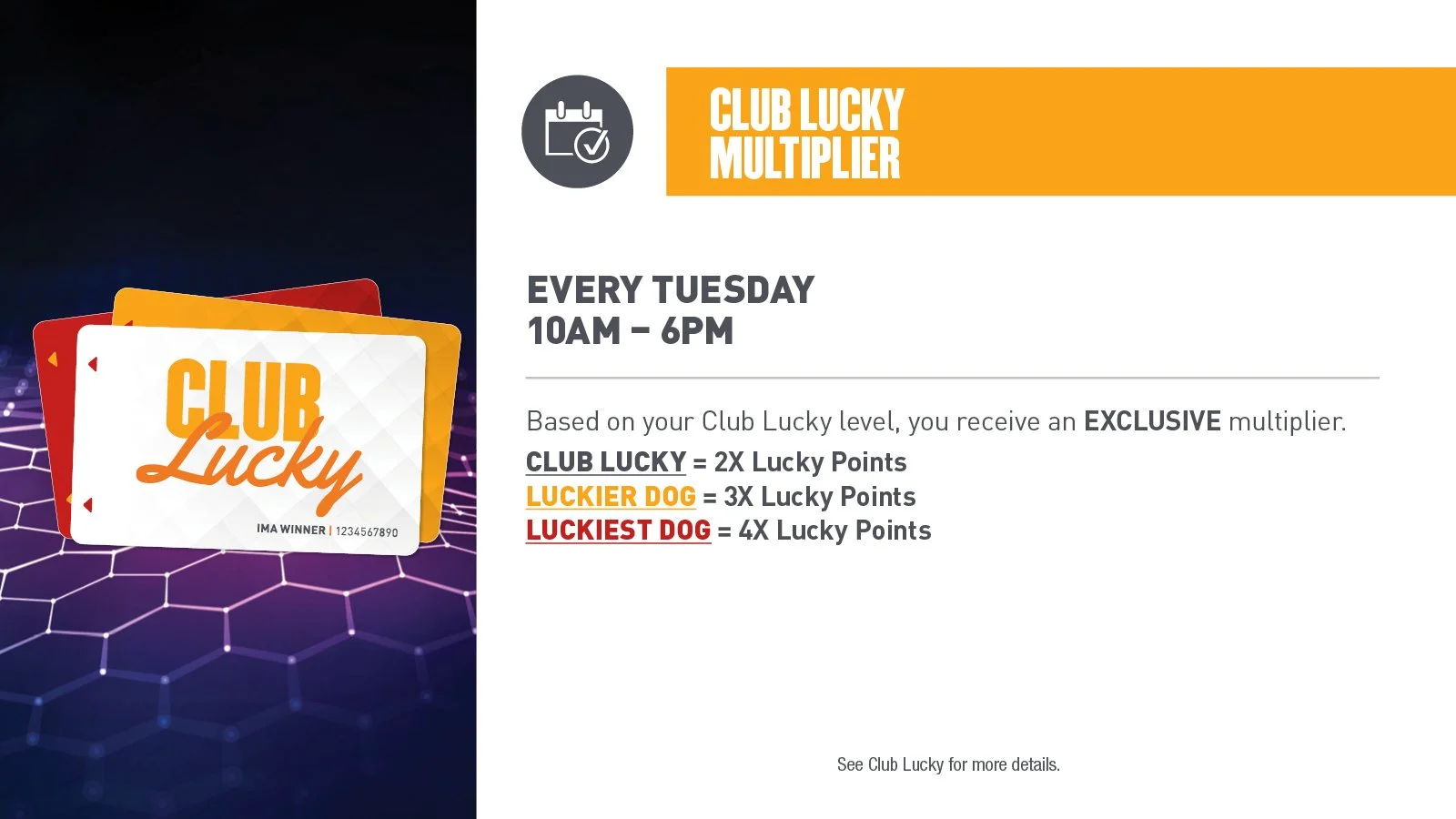 26-DOG-01640 Feb Promo App Digitals P1 1600x900-1.jpg