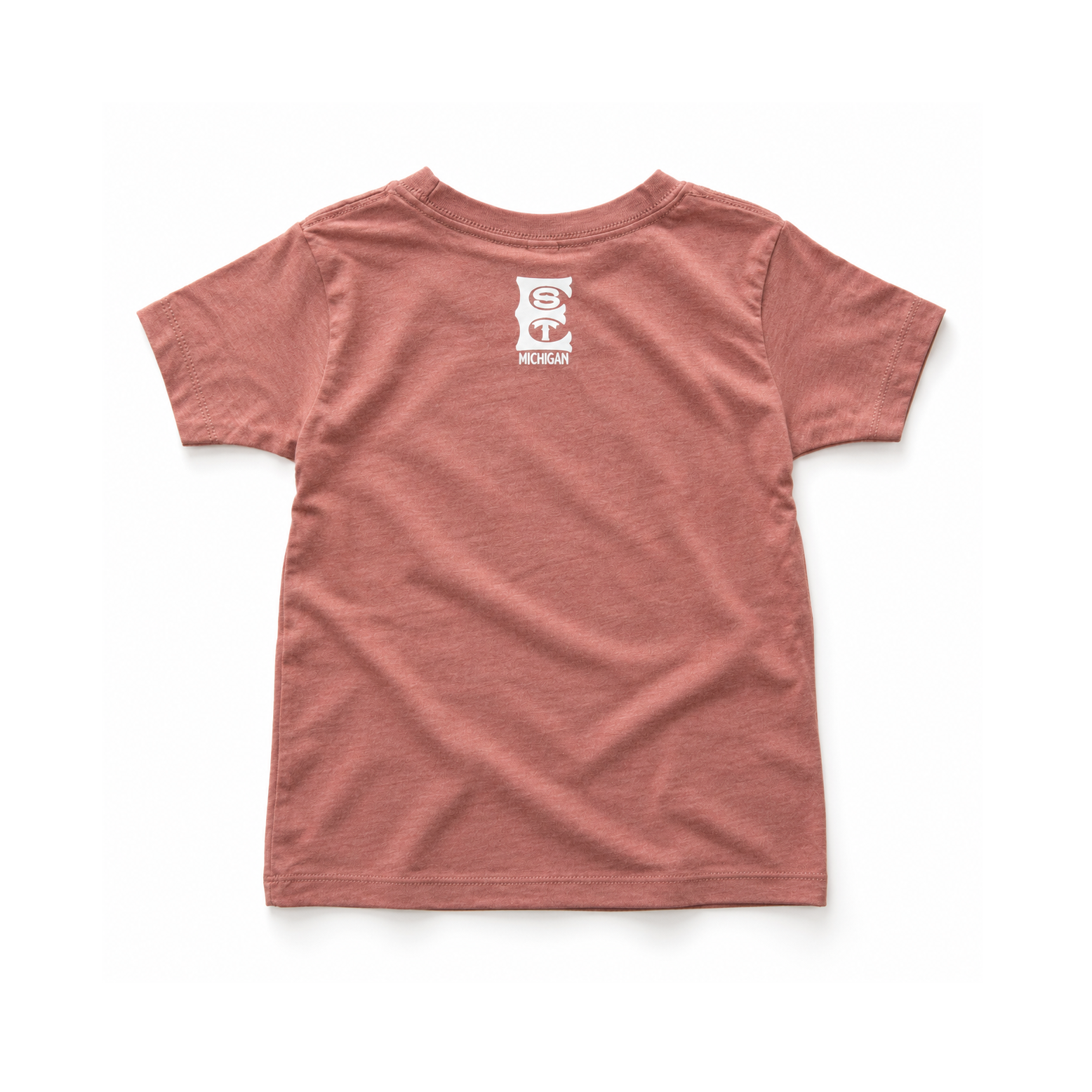 101404 Dusty Rose “ST Michigan” T-Shirt.png