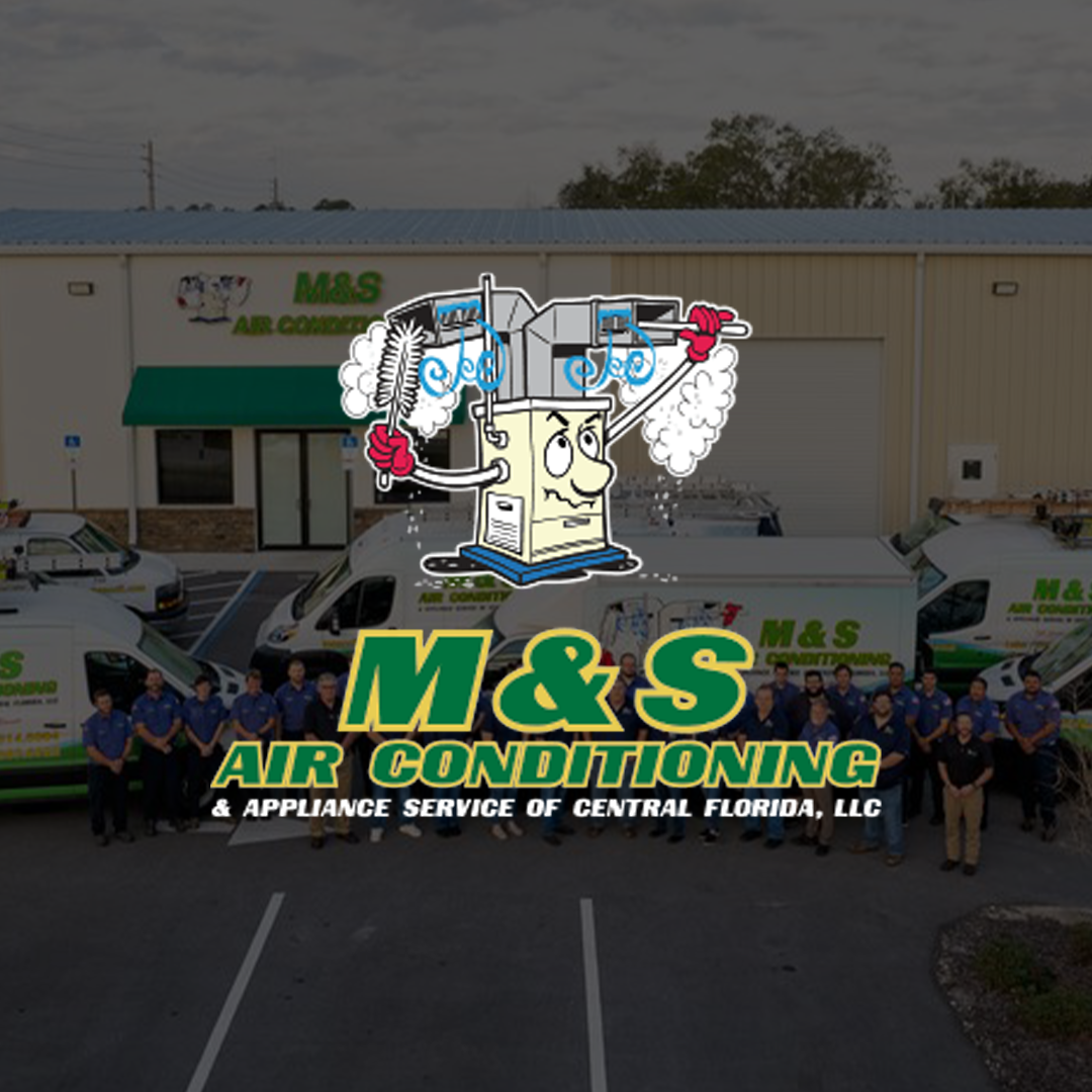 ms square.png