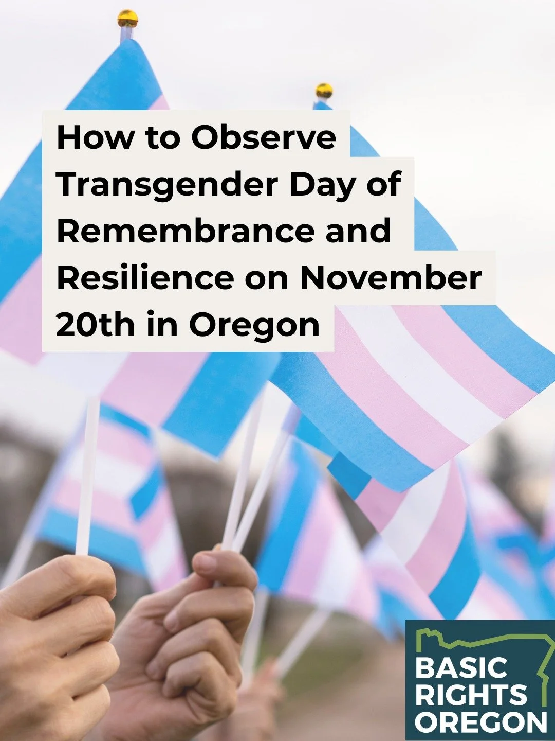 Visit our website at basicrights.org/news for more info on TDOR, and view a list of Trans Day of Remembrance events happening throughout Oregon on Thursday, November 20. You can also find this at our link in bio. 🏳️&zwj;⚧️🕯️

If you know of any eve