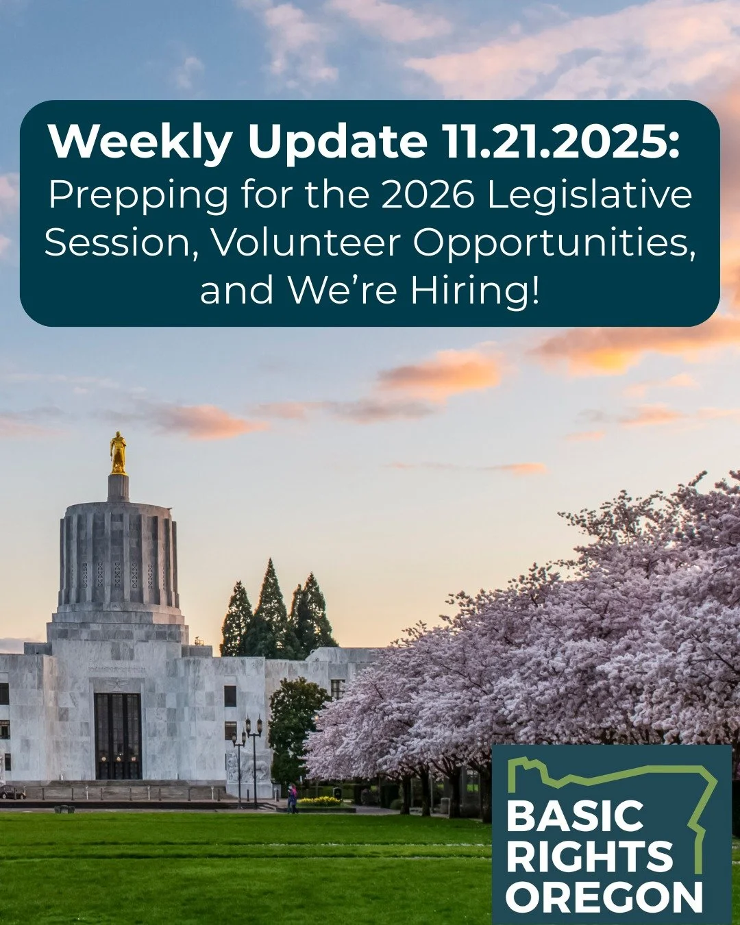 In today's newsletter: Ways you can volunteer for queer and trans rights, updates on passport policy and gender-affirming care access, and so much more. Head to our link in bio or basicrights.org for our latest full LGBTQ2SIA+ update!

 We&rsquo;ll b